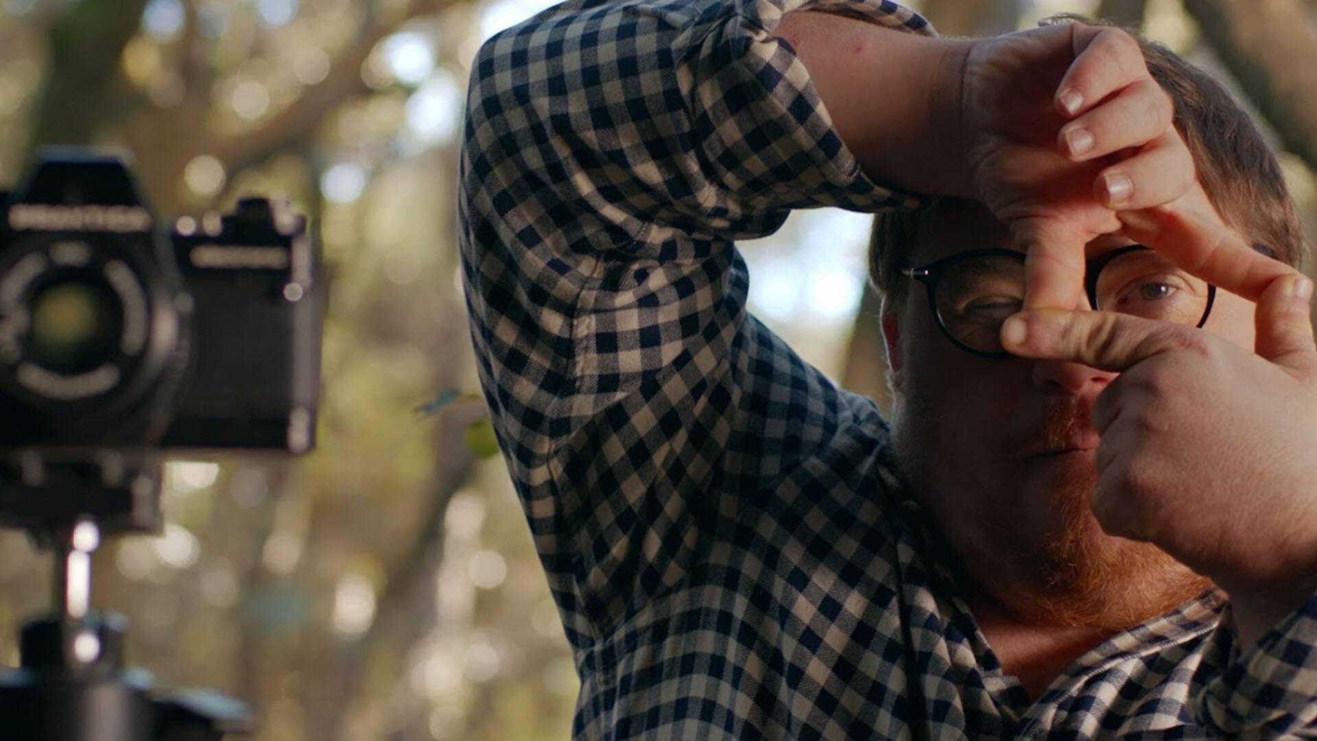 El bosc de la Quimera