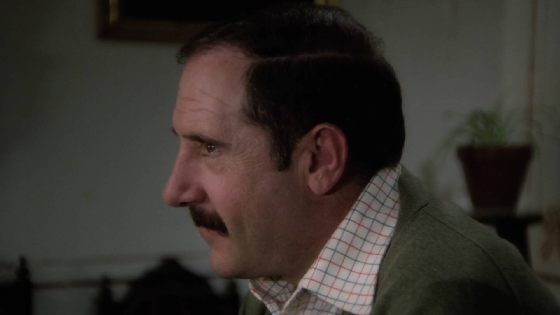 El alcalde y la política