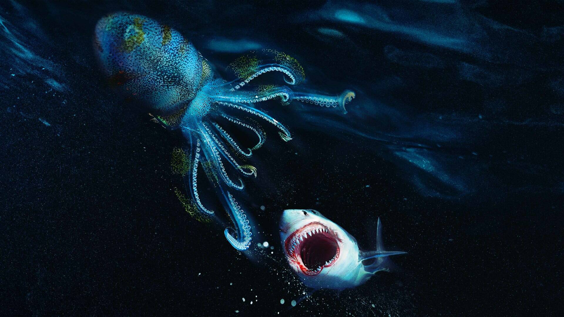 Tiburón vs. Kraken