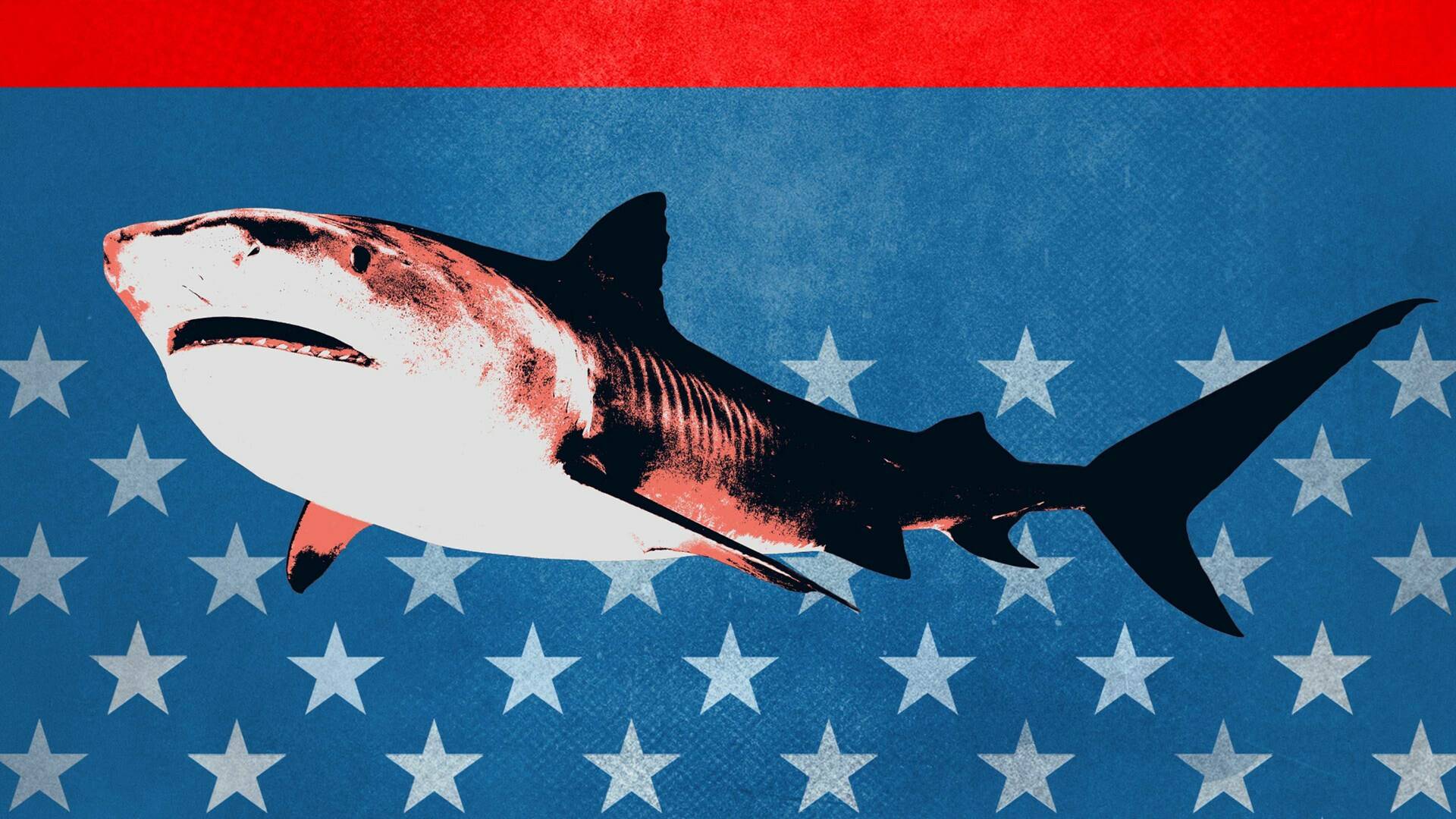 El rey de los tiburones tigre