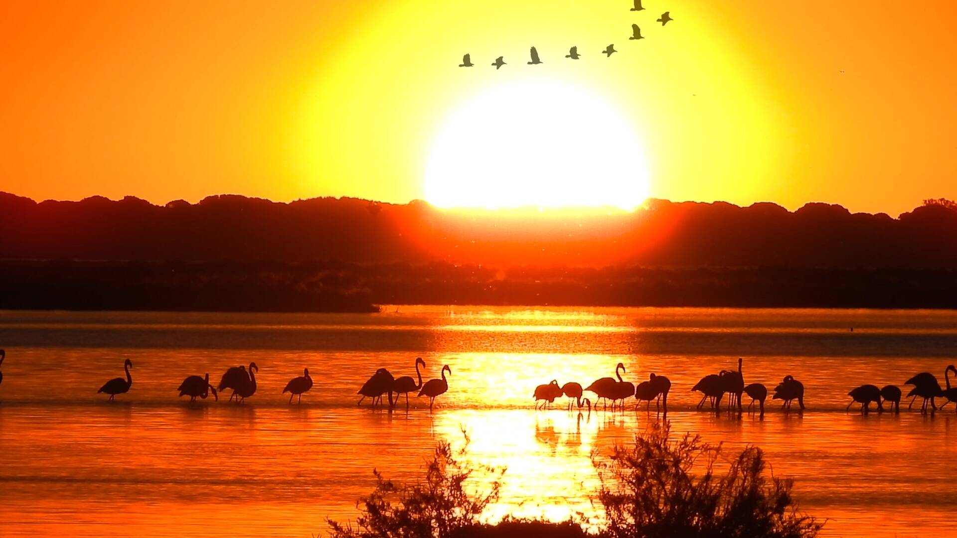 La danza de los mundos