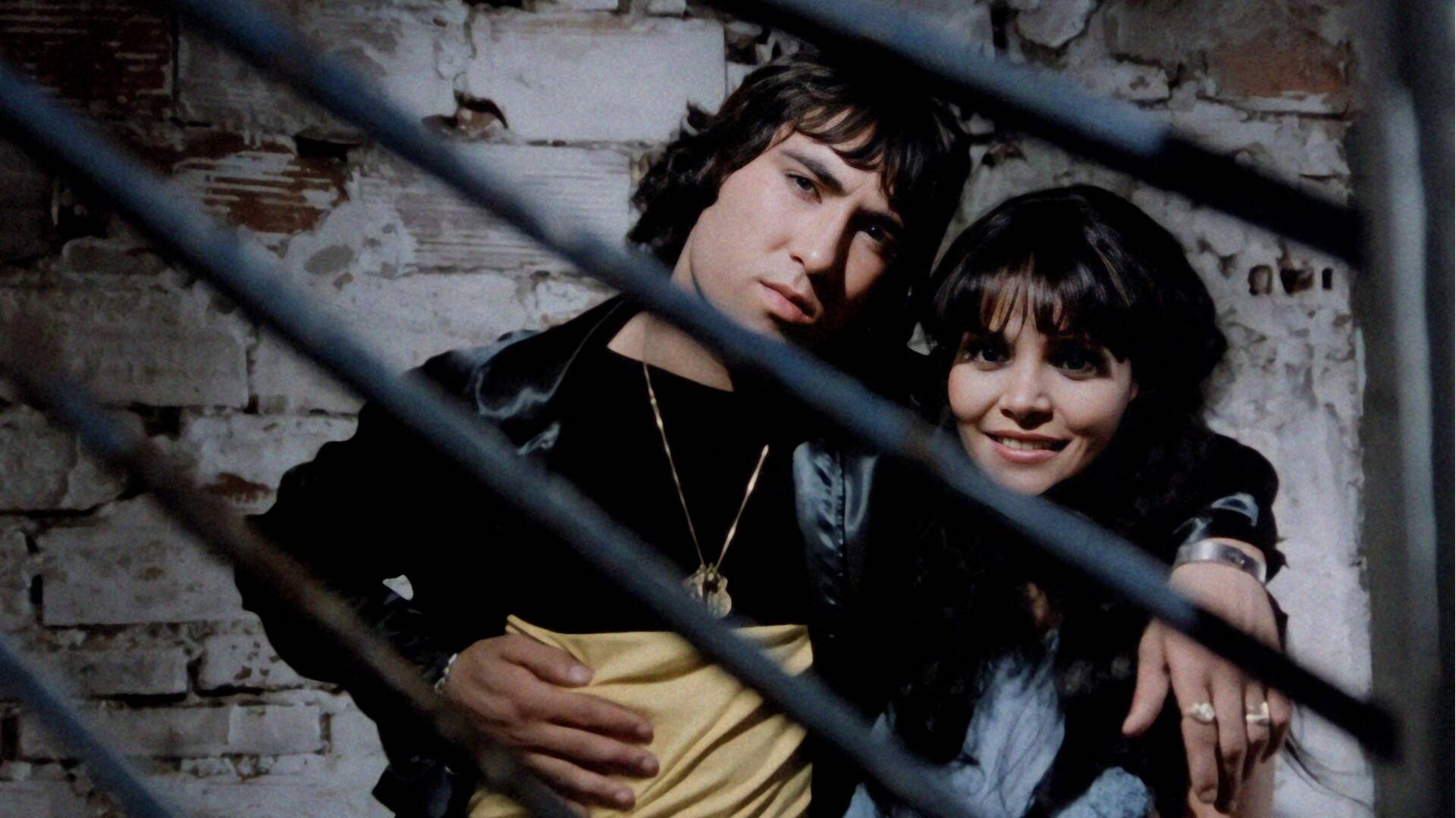 Perros Callejeros II