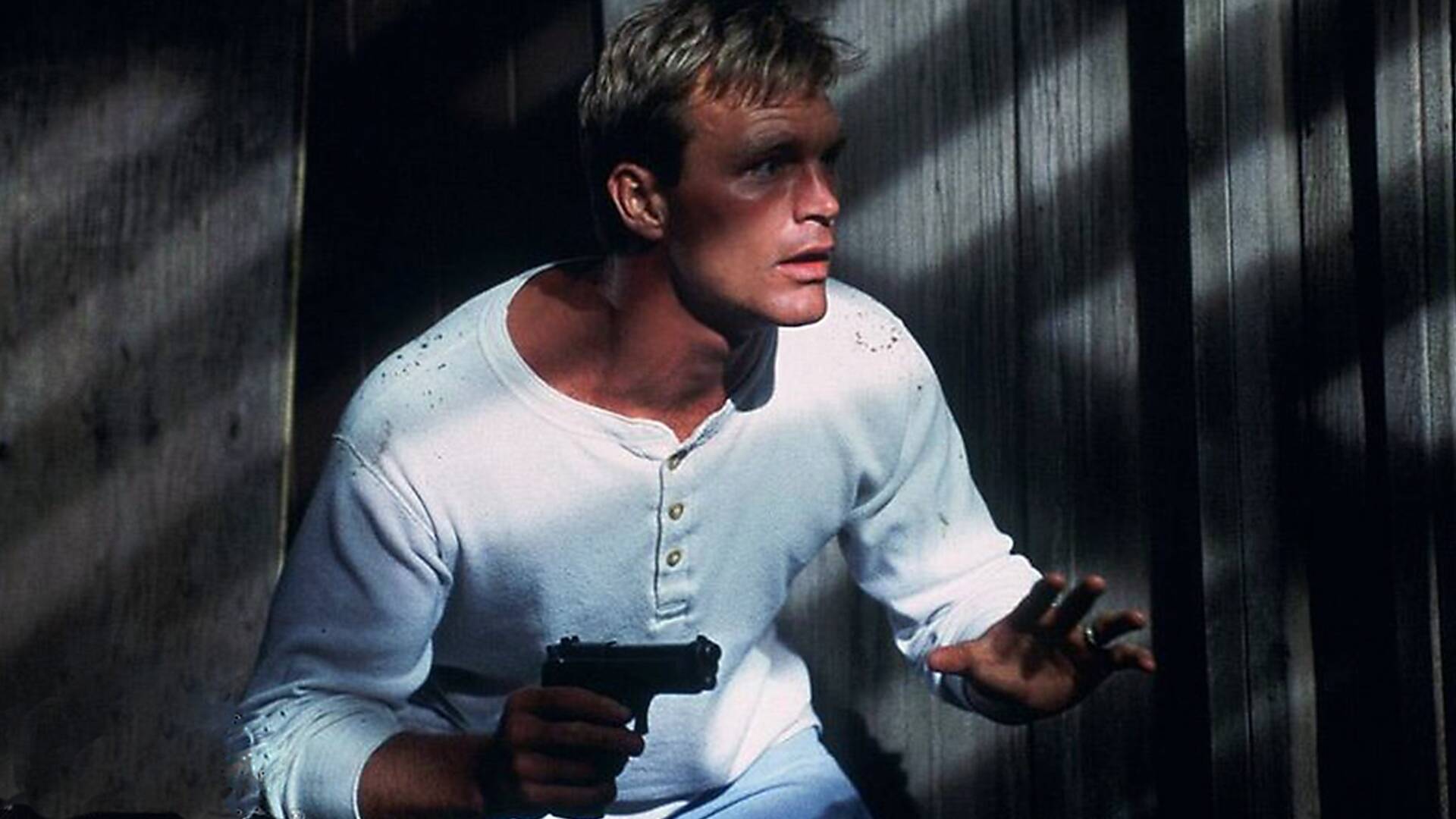 Cazador de medianoche