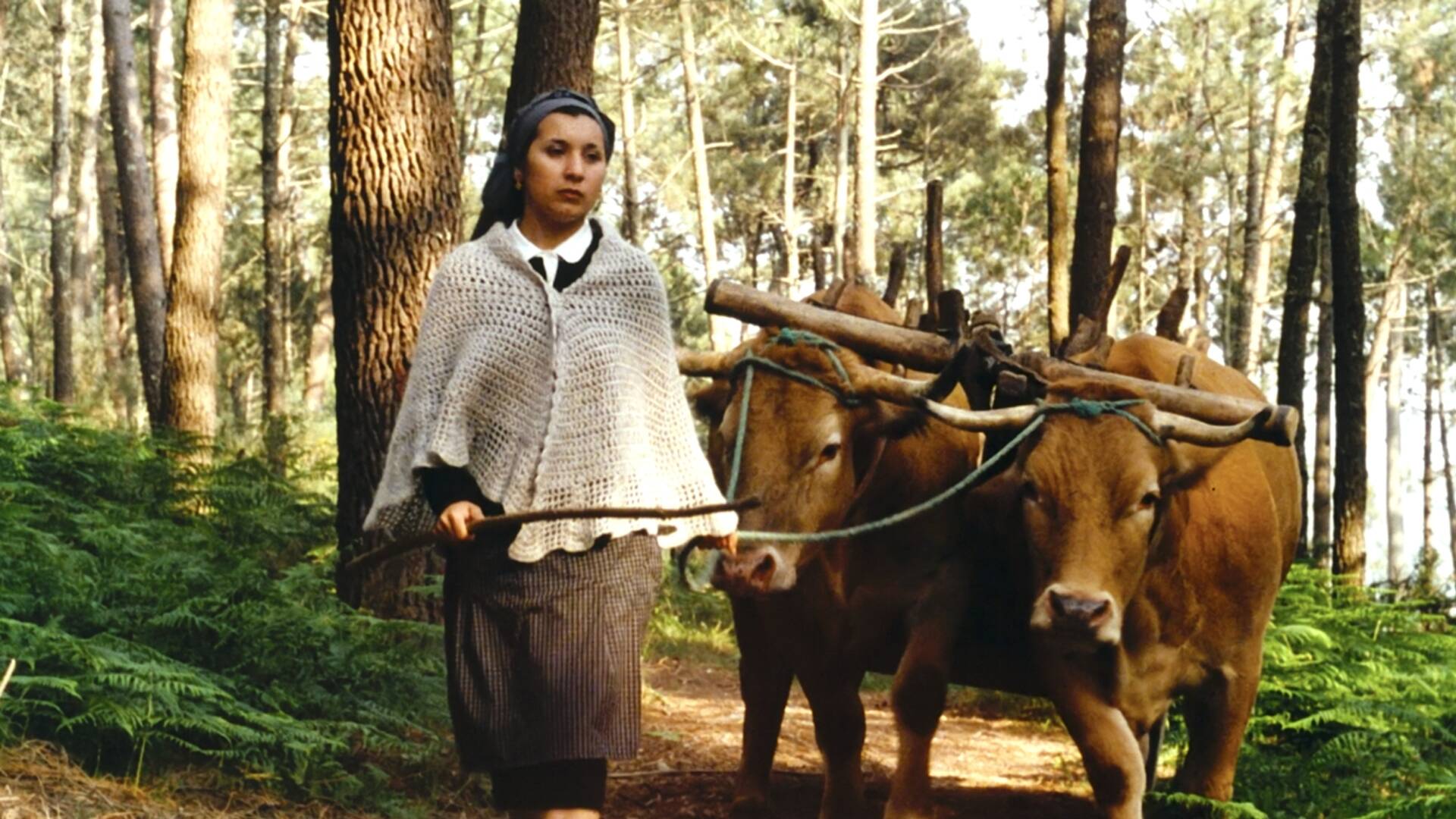 Una historia gallega