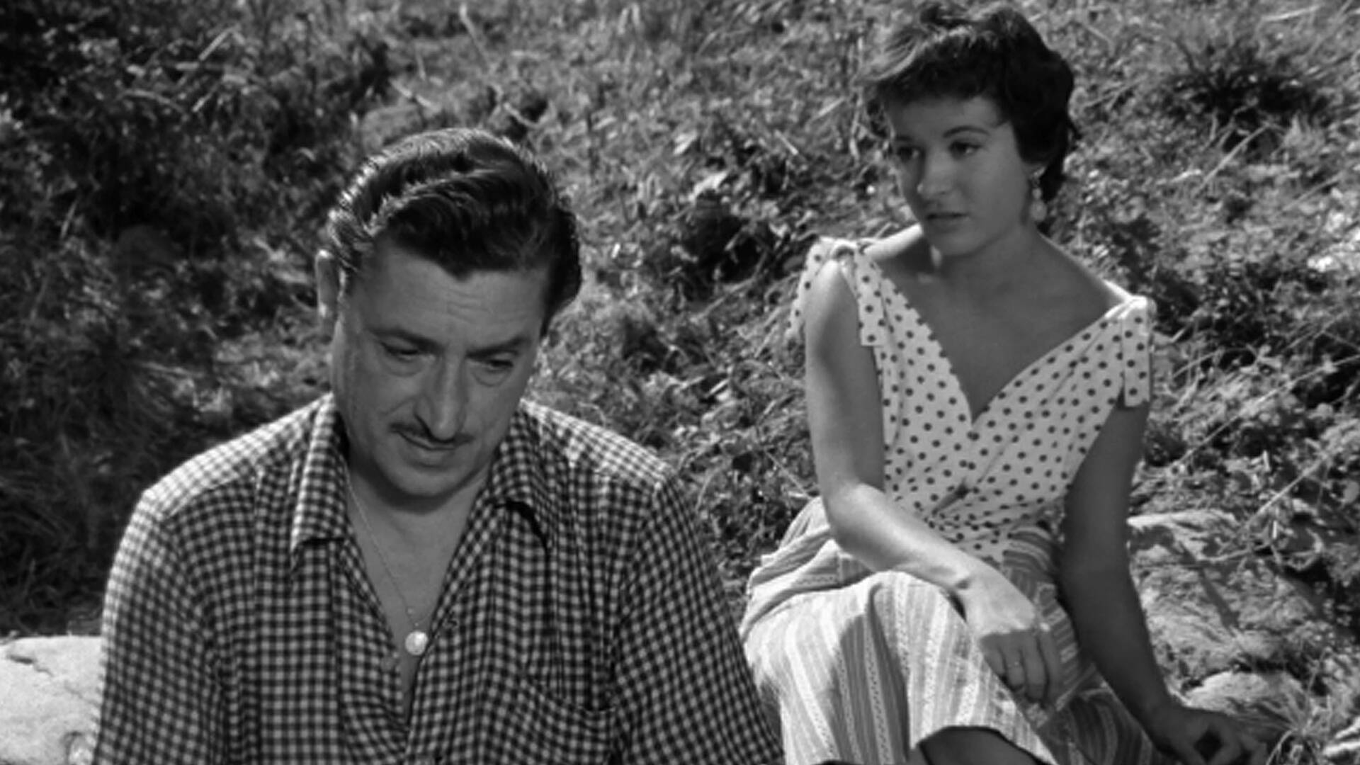 El sol sale todos los días