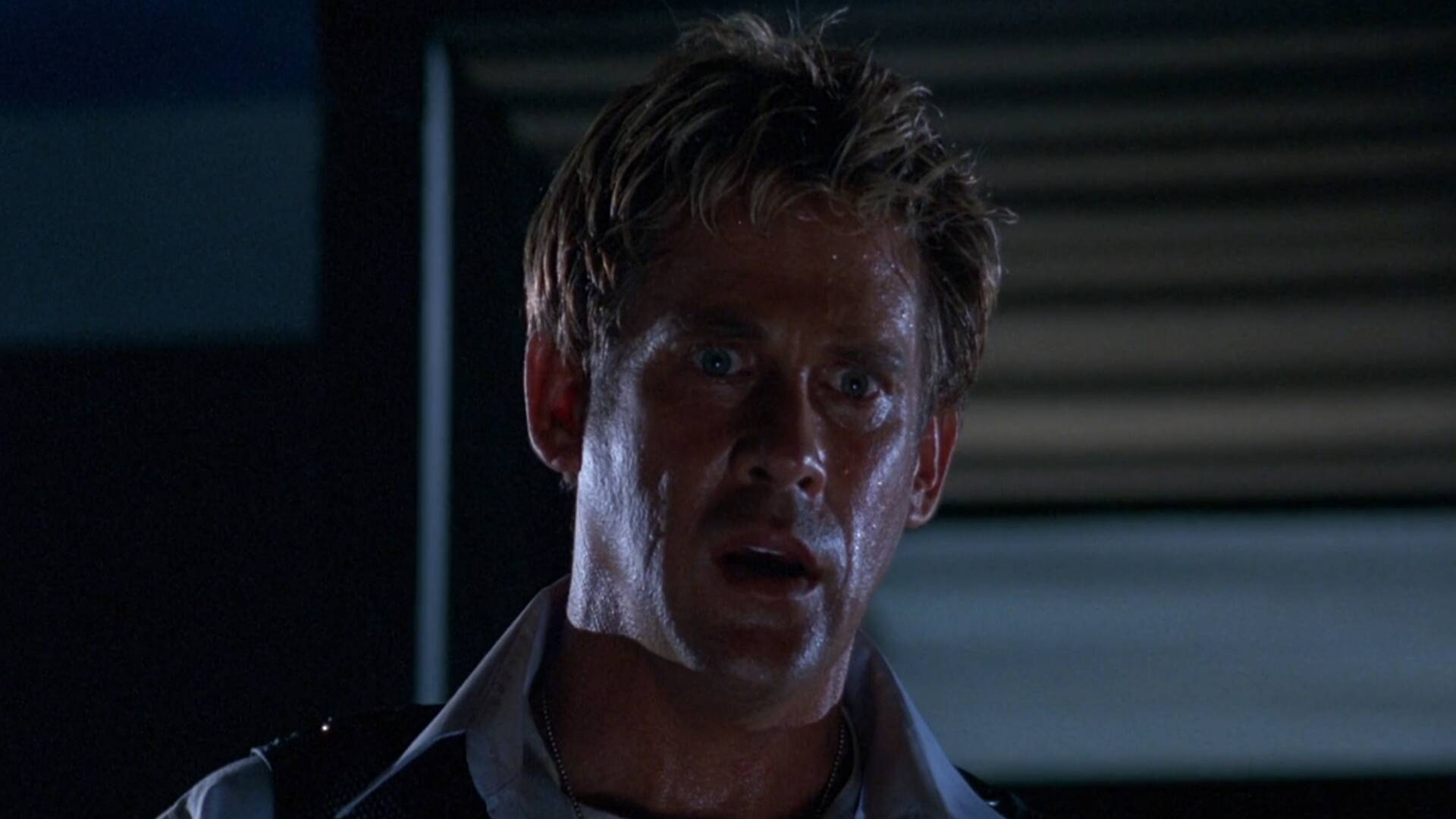 Inmersión de emergencia