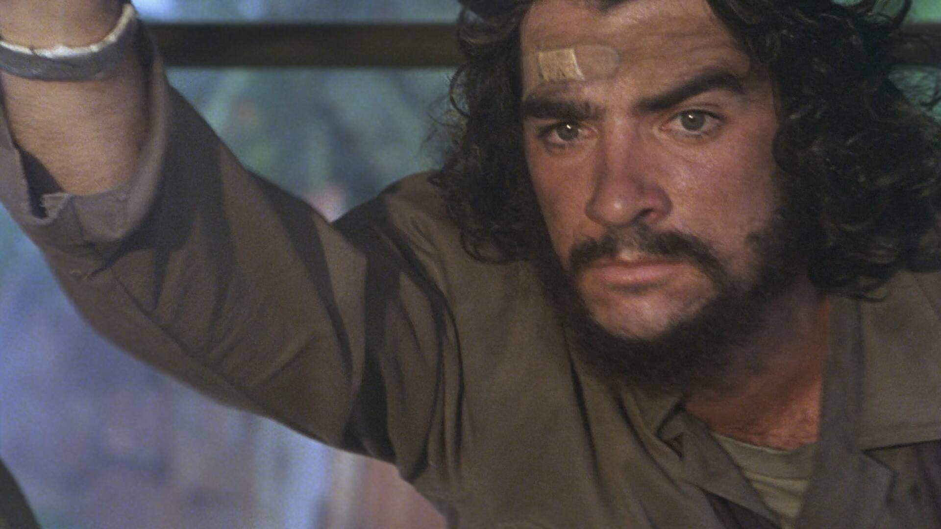 Hasta la victoria siempre