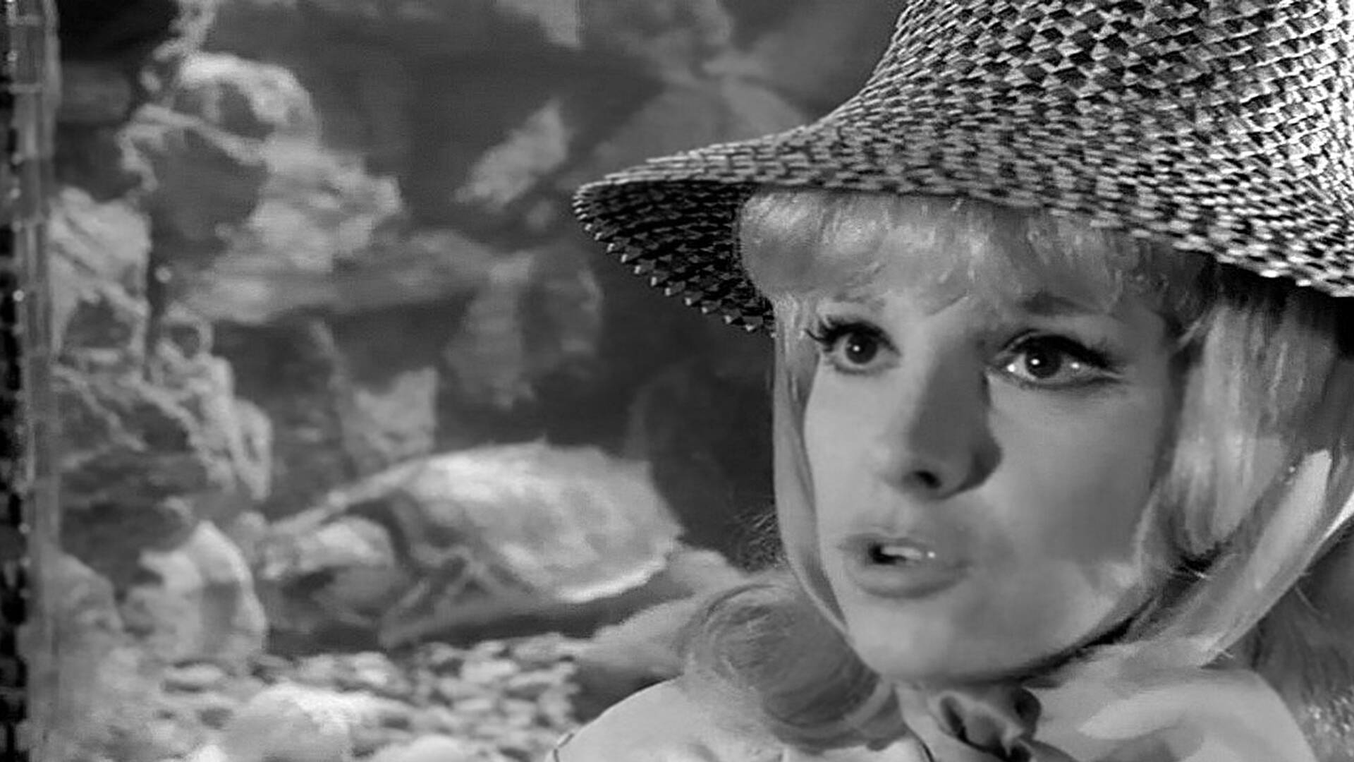 Rififí en la ciudad