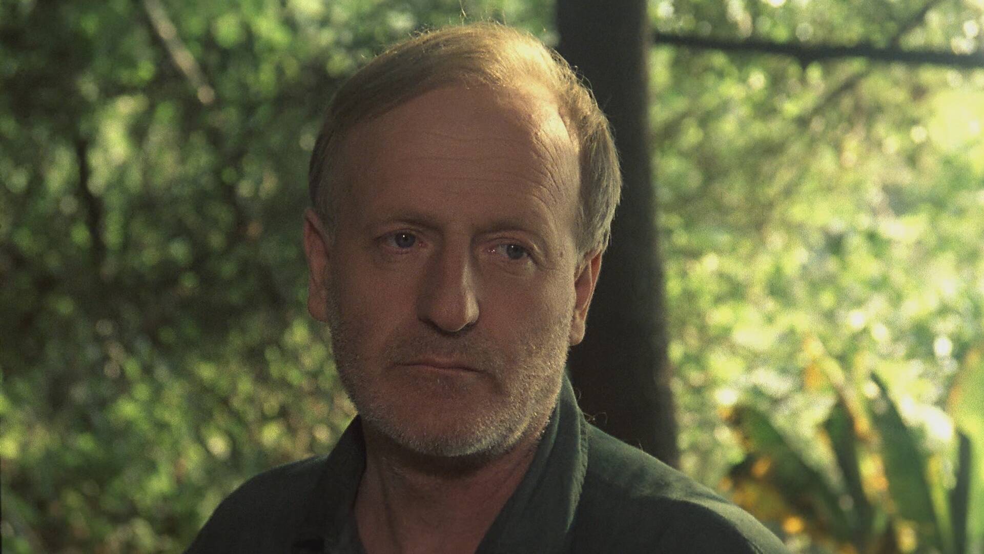 El gran infierno verde