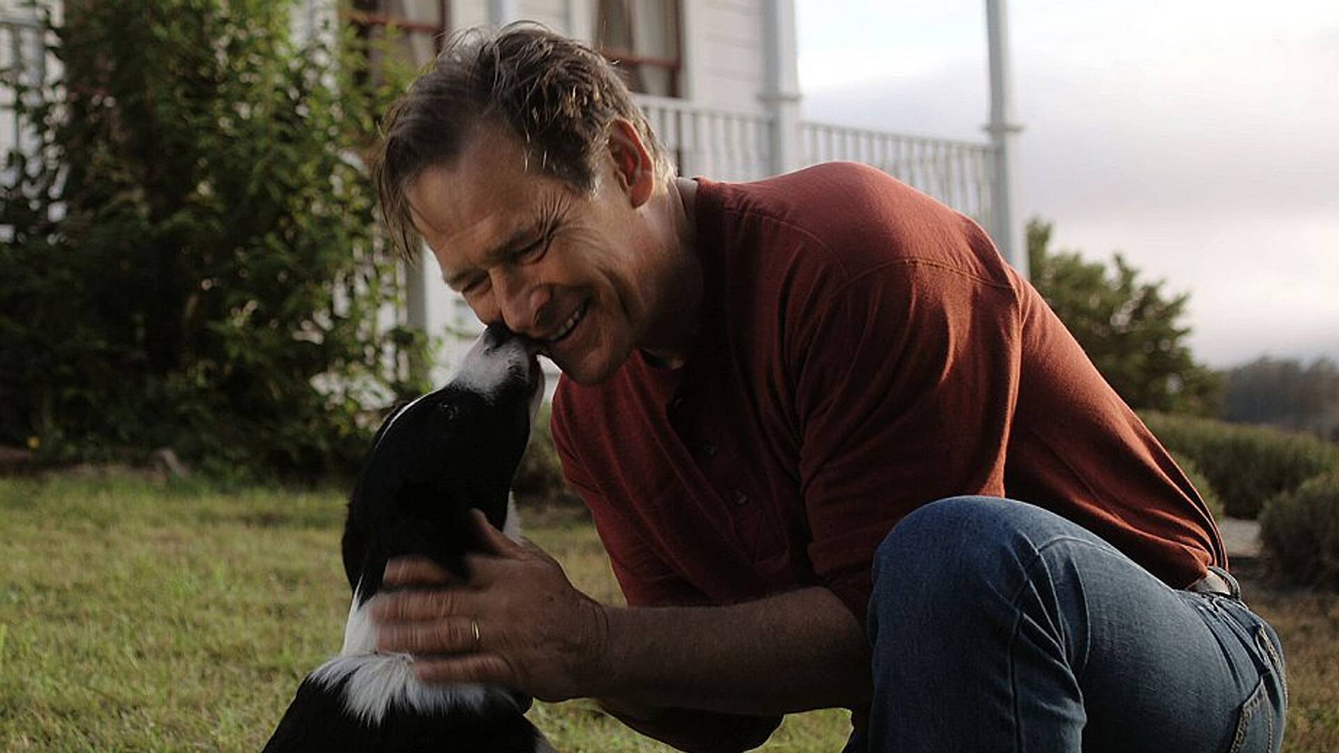 Criaturas indefensas (The dog lover)