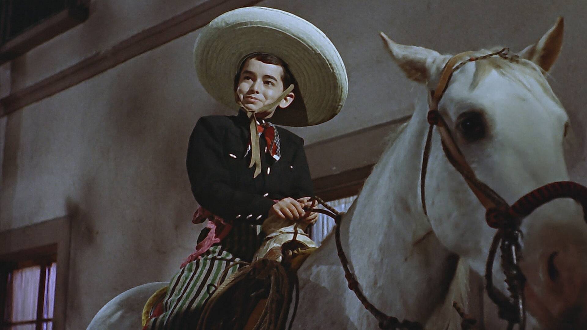 El caballo blanco