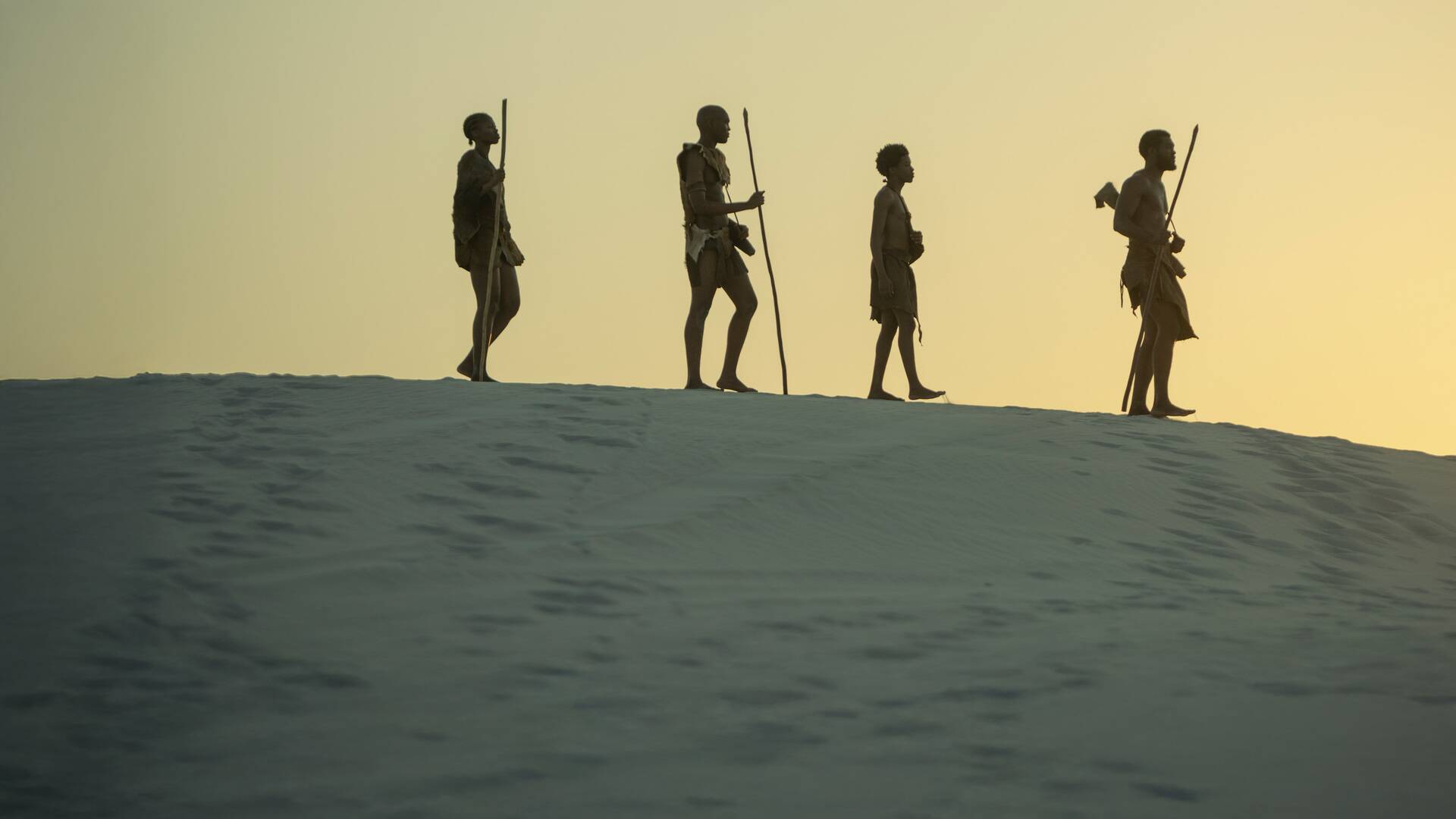 Human: la historia del...: El origen de los humanos