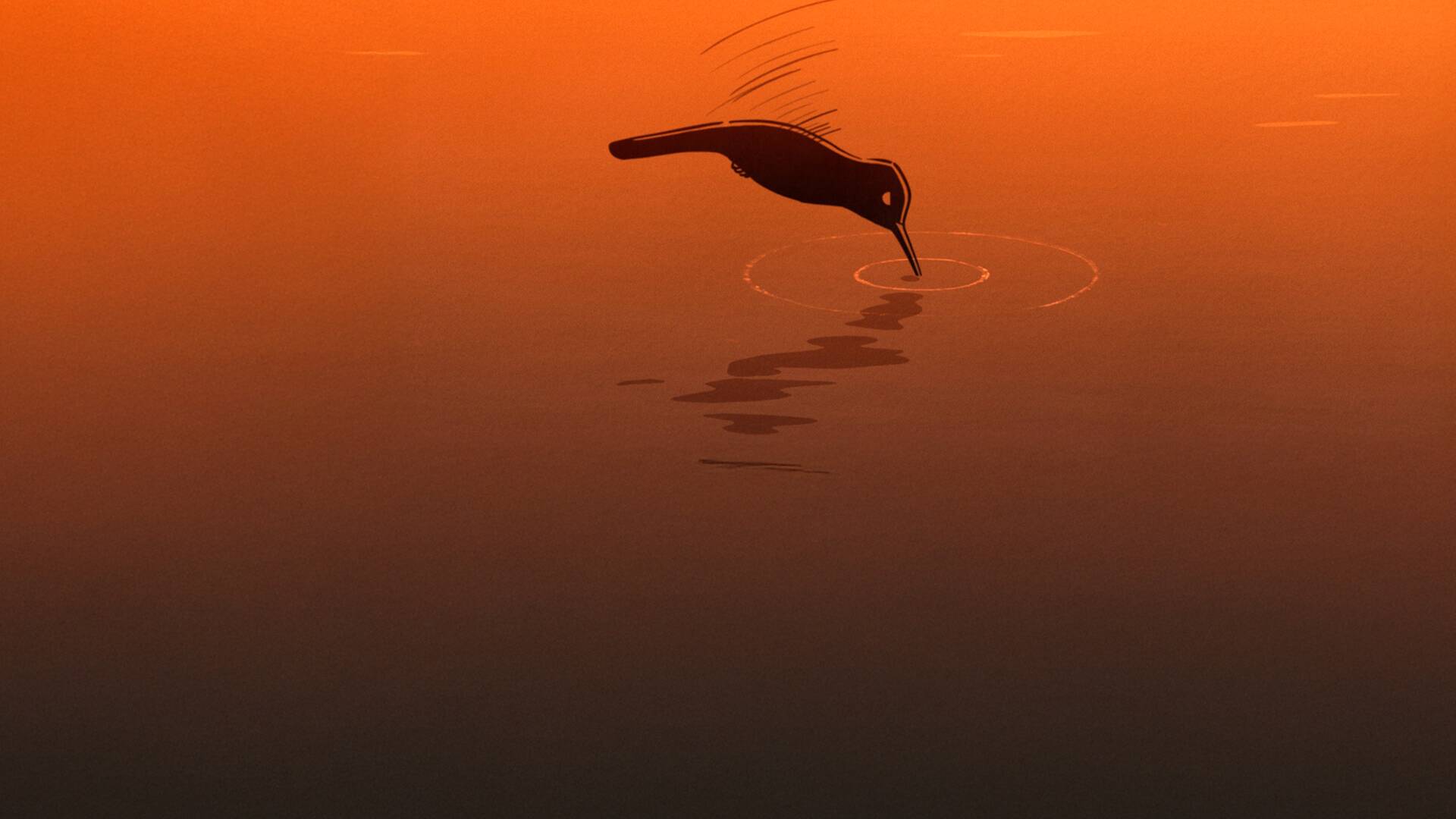 La leyenda del colibrí