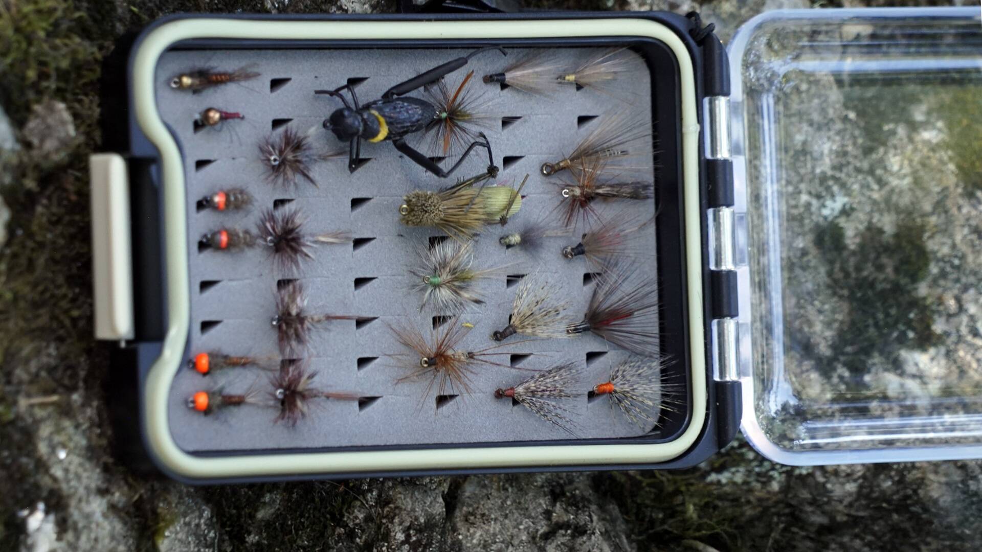 Pesca en peligro de extinción: Varal