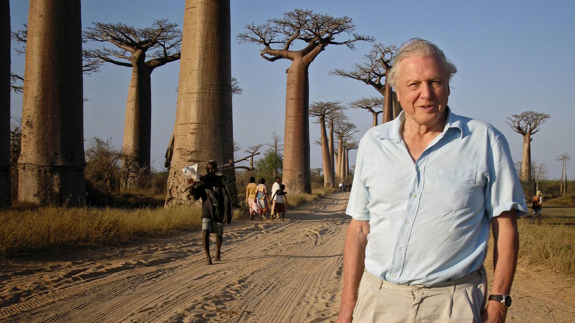 David Attenborough y el huevo gigante