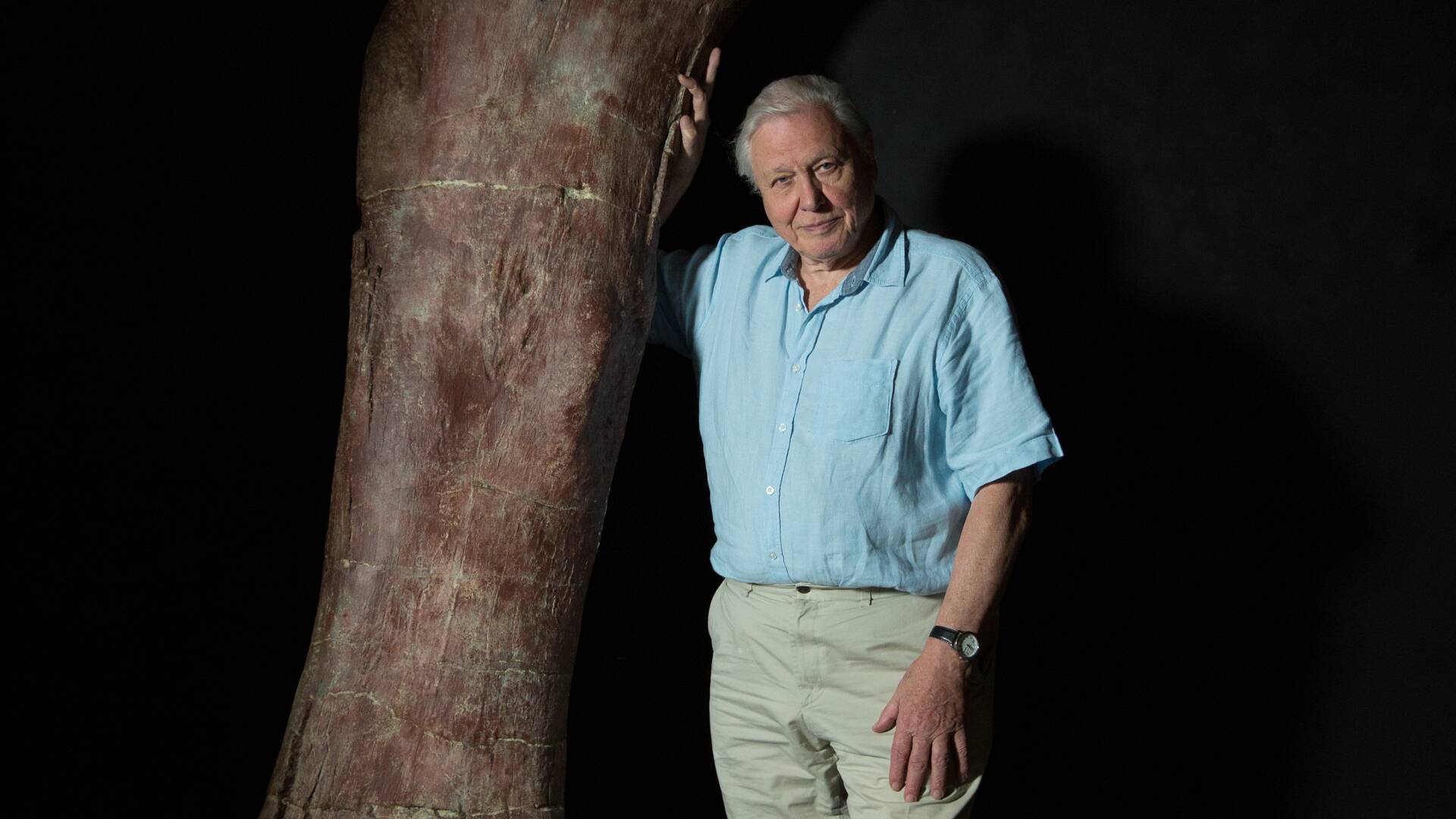 David Attenborough y el dinosaurio gigante