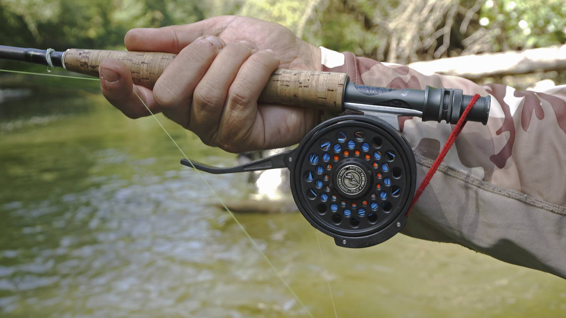 Truchas en el río Segre