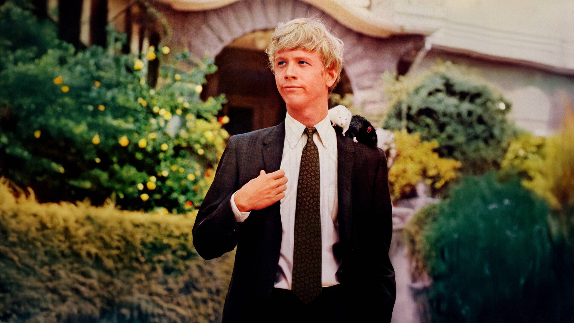 La revolución de las ratas (Willard)