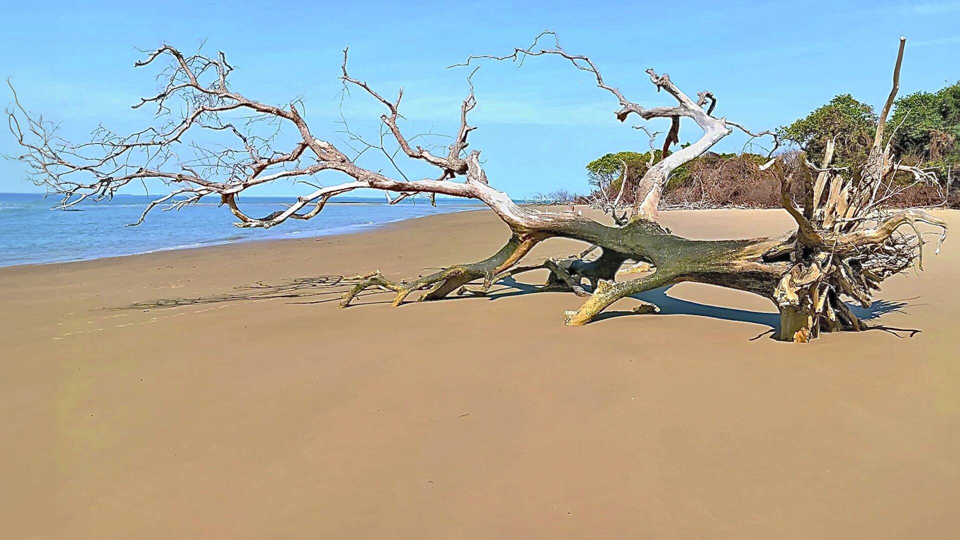 De viaje: Pesca al límite en la isla de Orango