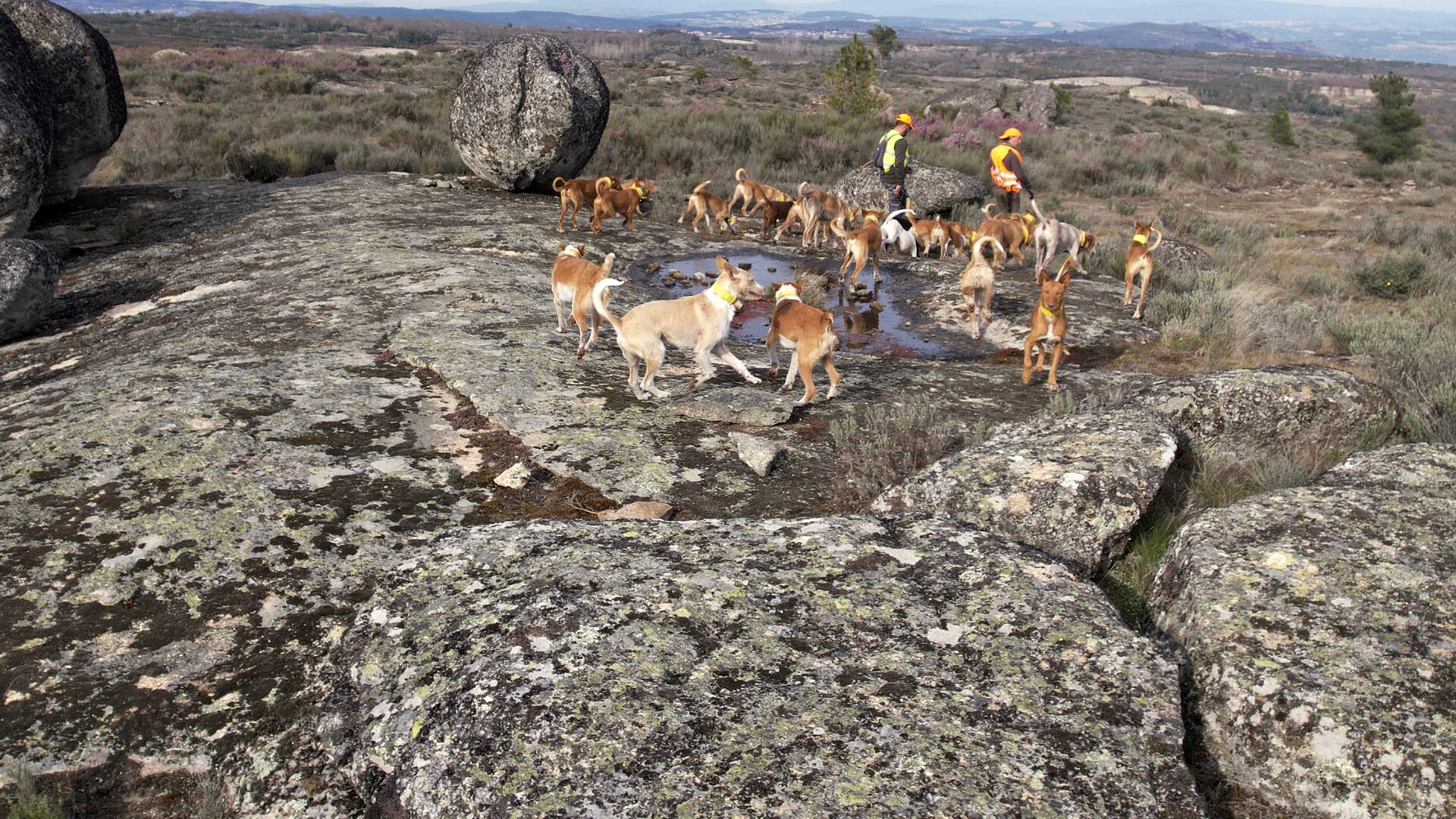 Lances Monteros... (T2): Gois