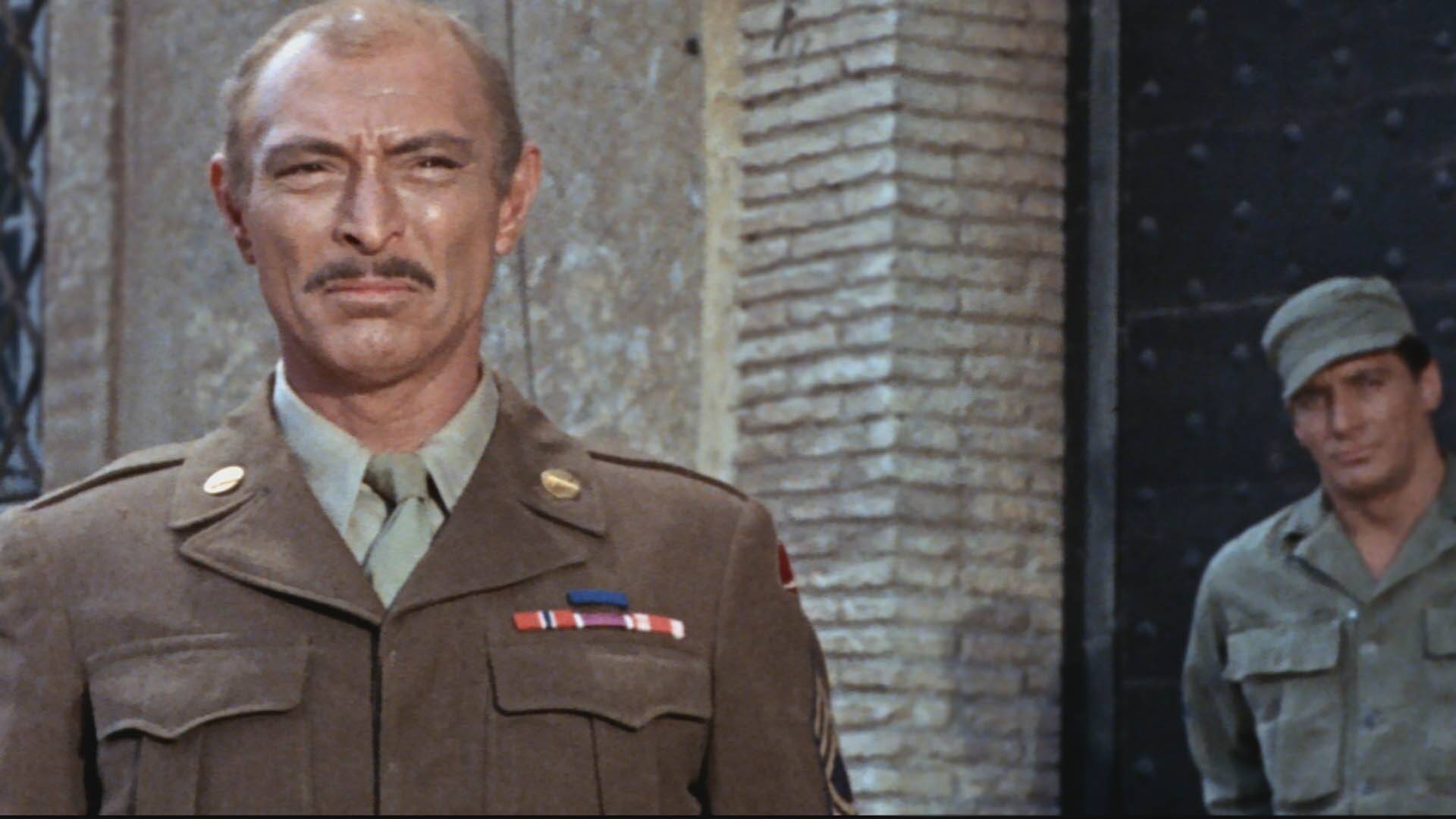 Los chacales del desierto