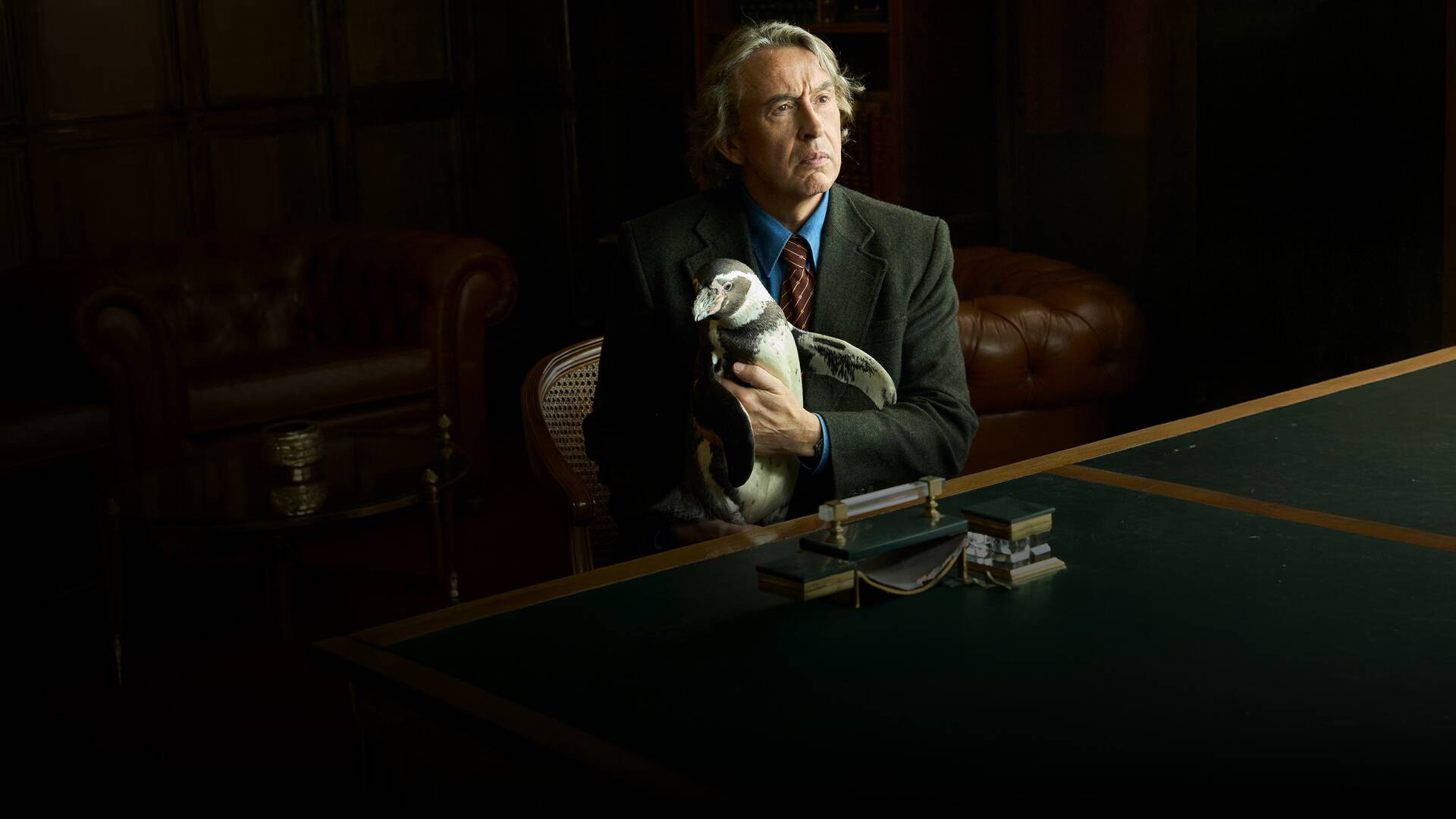 Lo que aprendí de mi pingüino