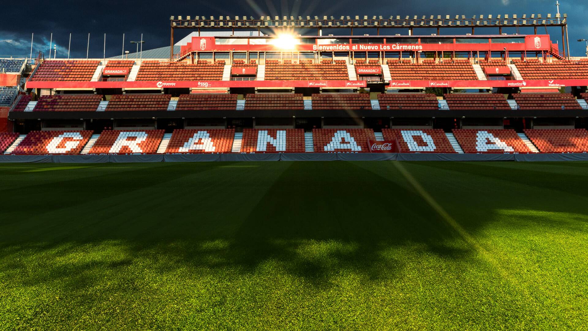 Informe Plus+. Dani Benítez, el sueño perdido