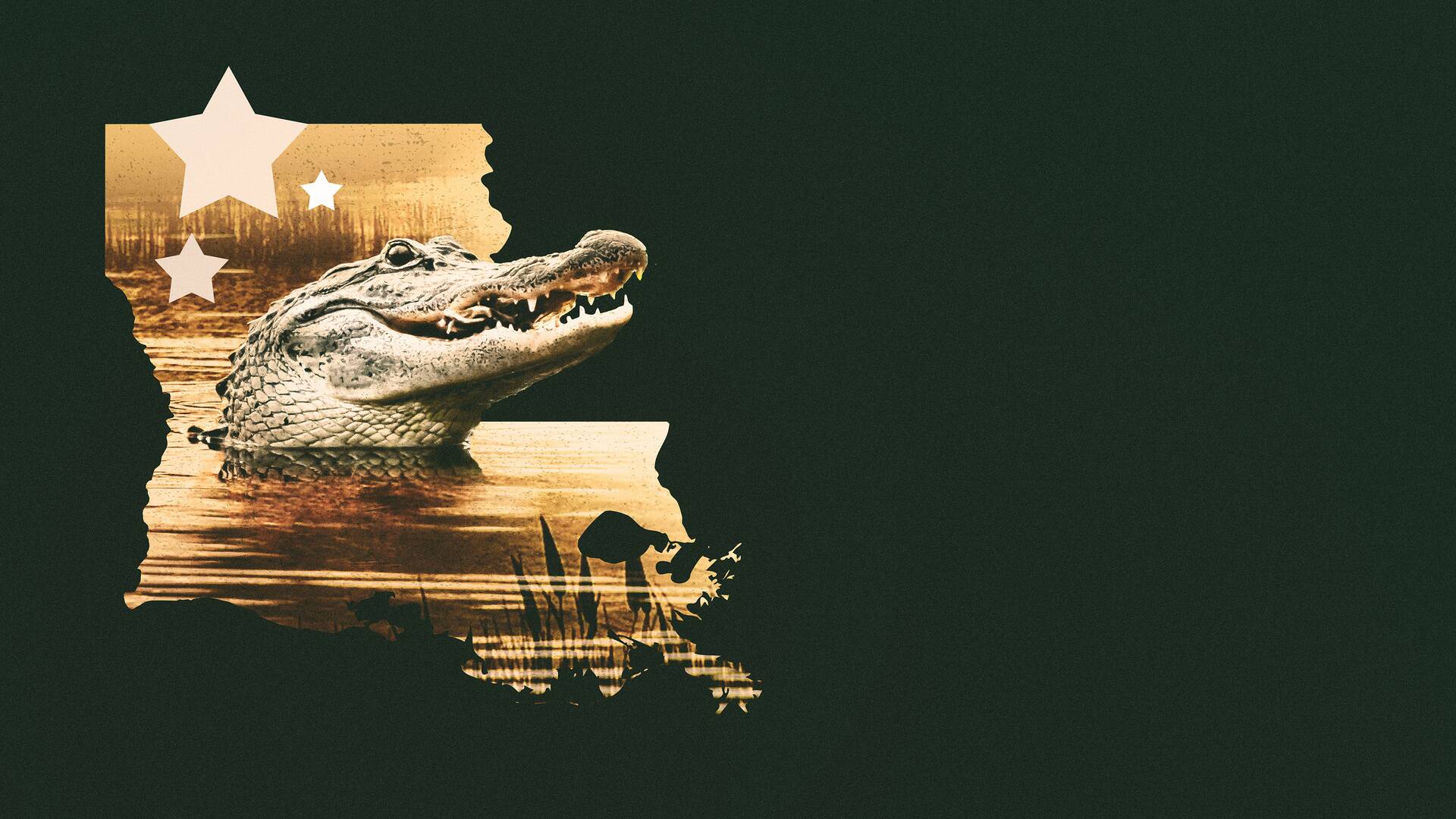 Guardianes de Luisiana