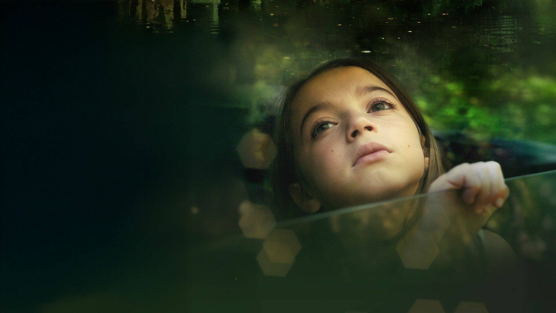 20.000 especies de abejas