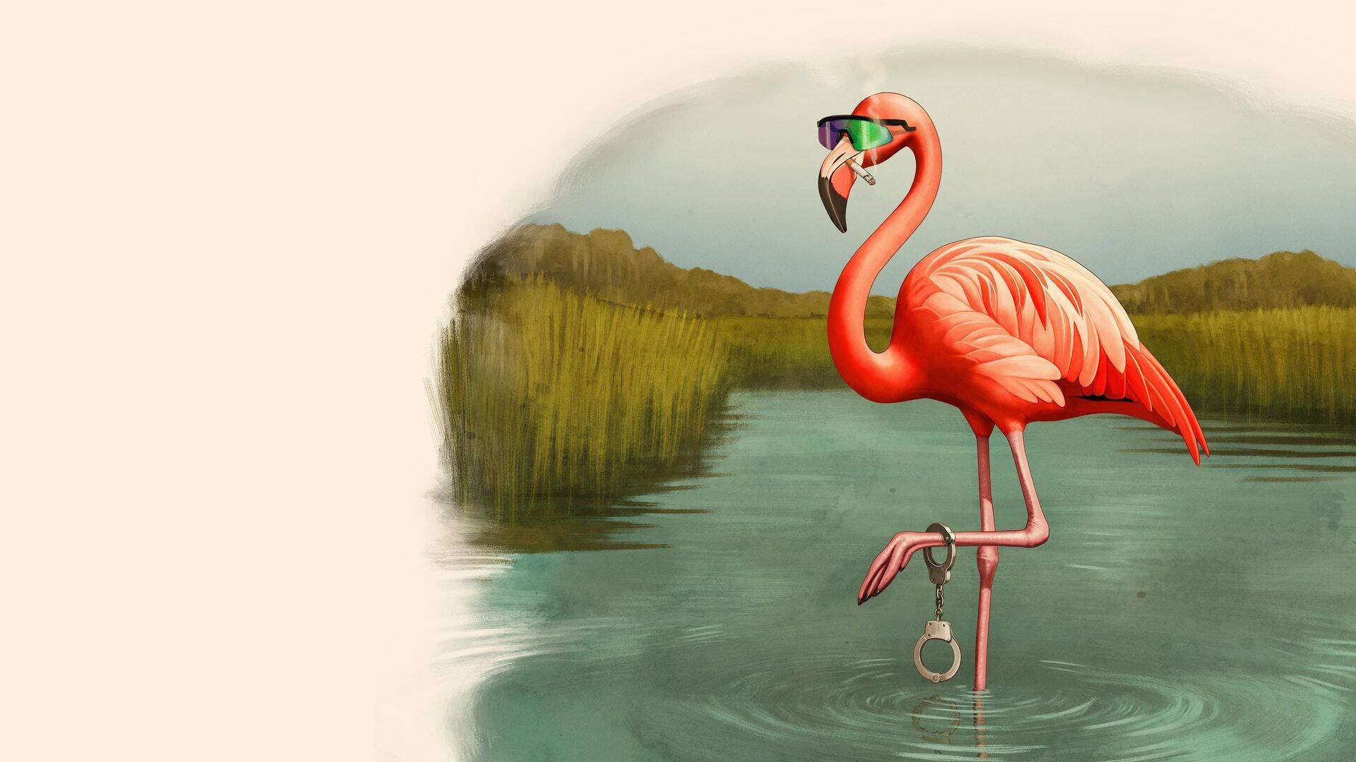 Así es Florida, tío