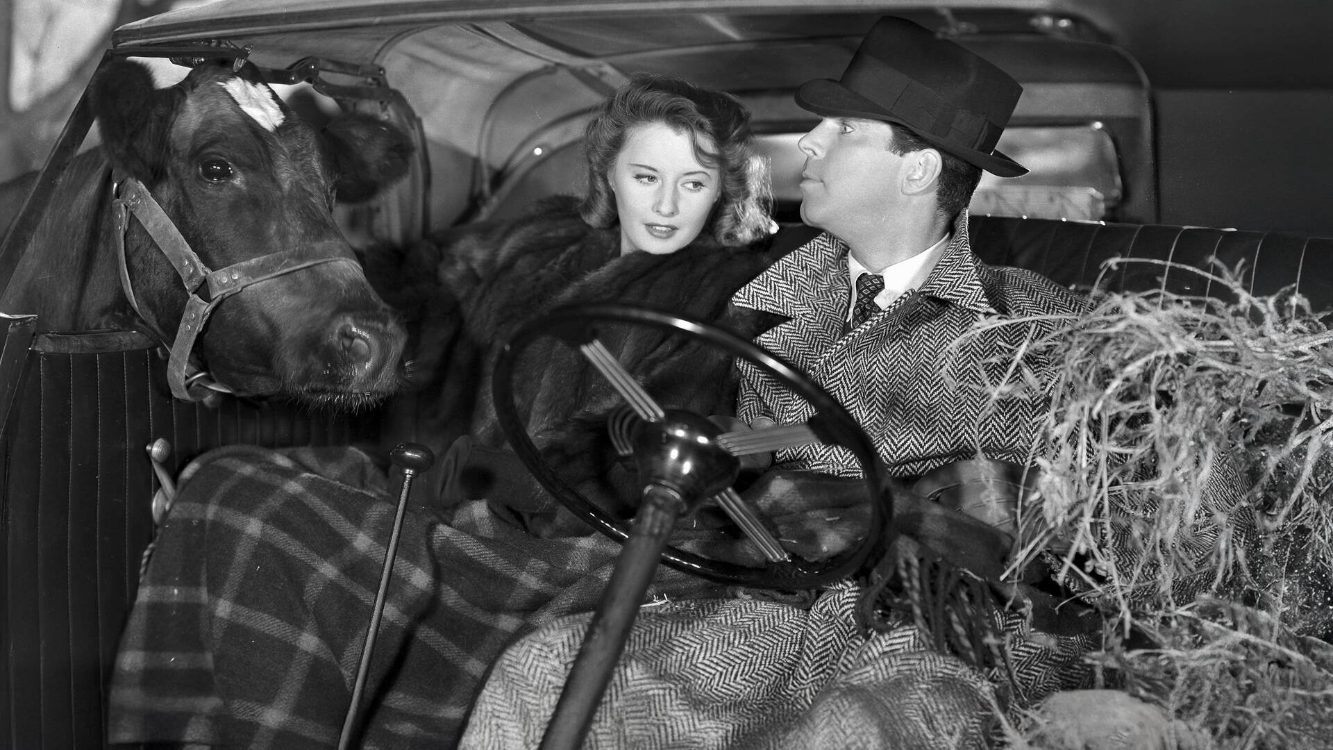 Recuerdo de una noche