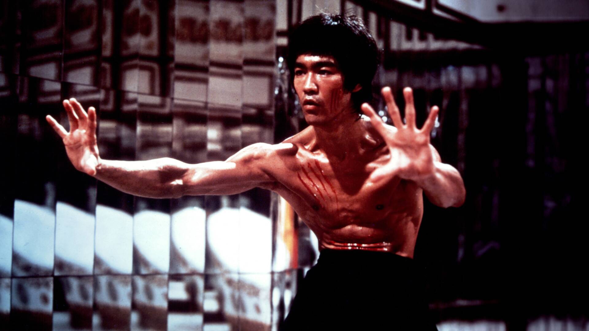 Bruce Lee. Dentro del dragón