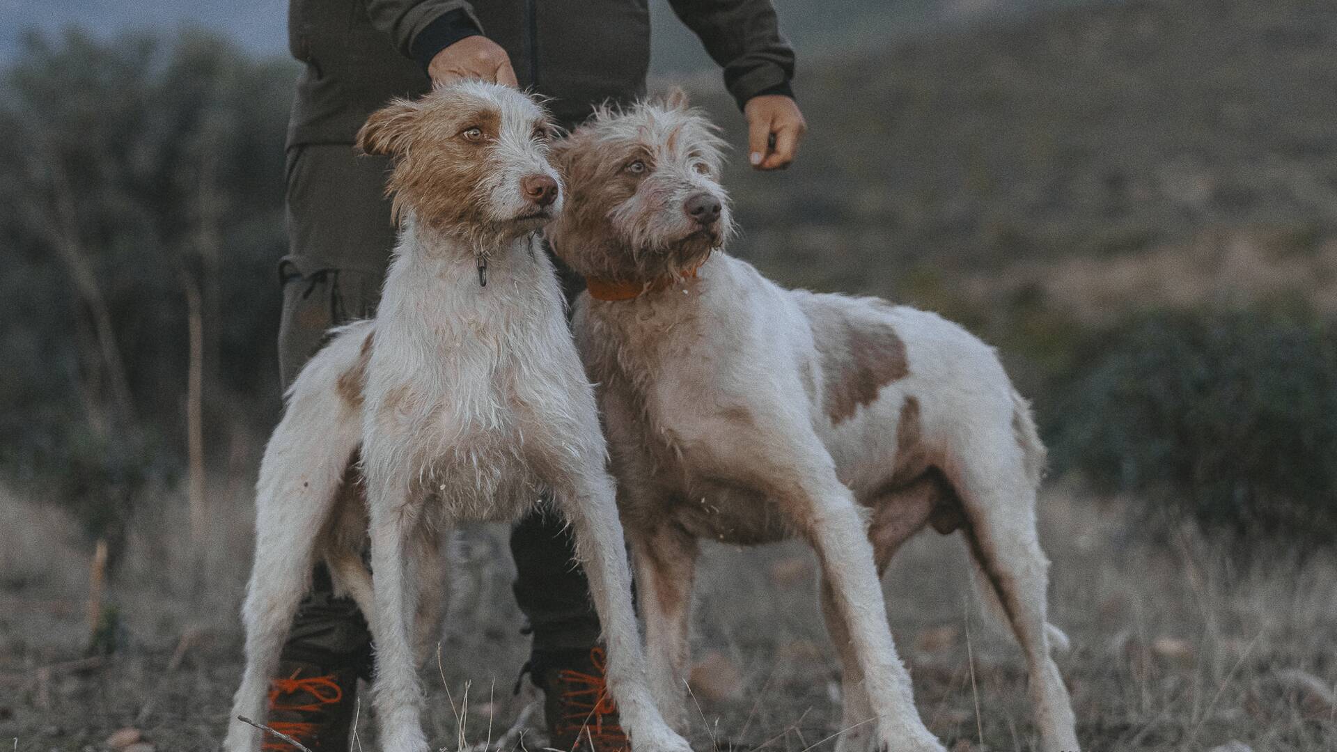 De montería (T10): Ep.1