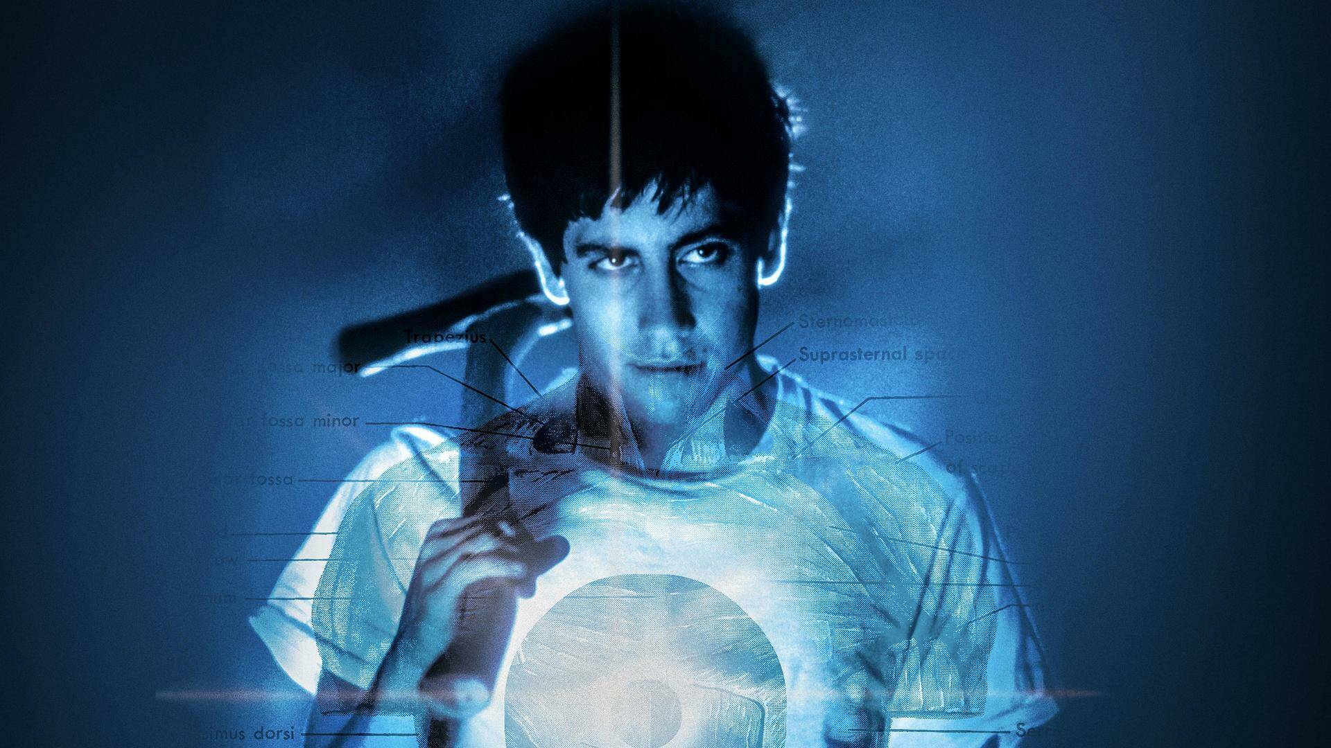 Donnie Darko