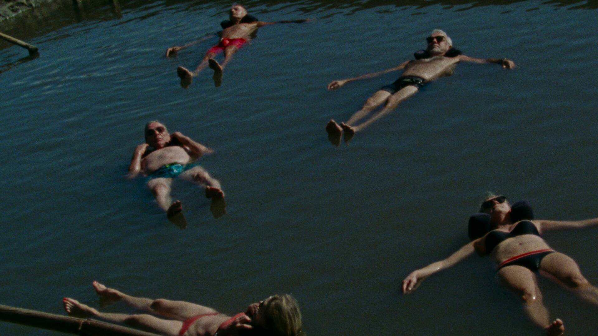 La soledad de los lagartos