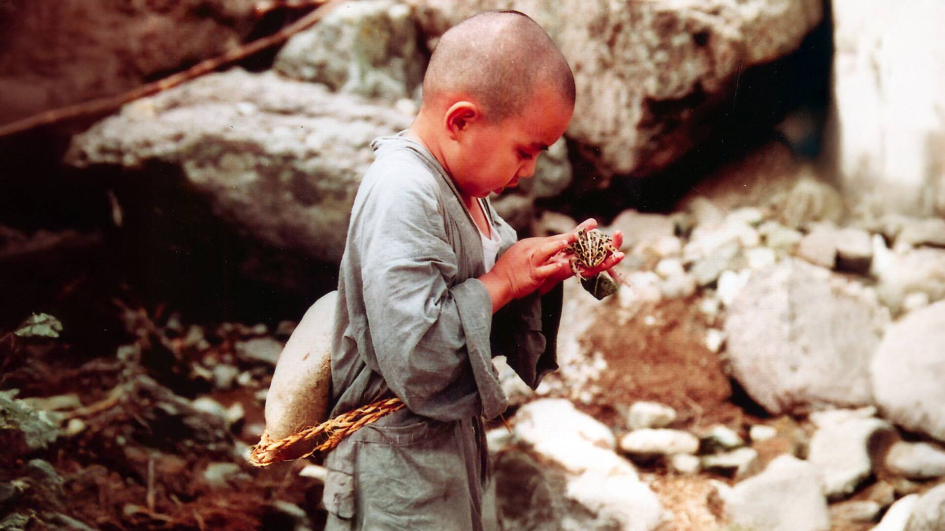 Primavera, verano, otoño, invierno... y primavera