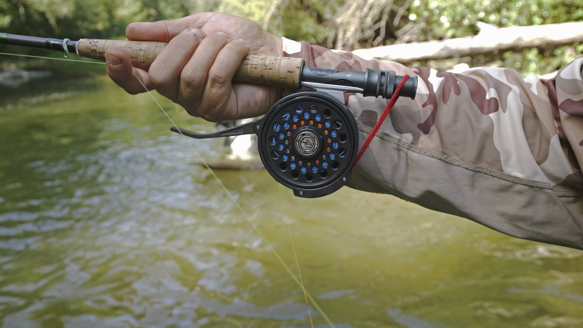 Truchas en el río Segre