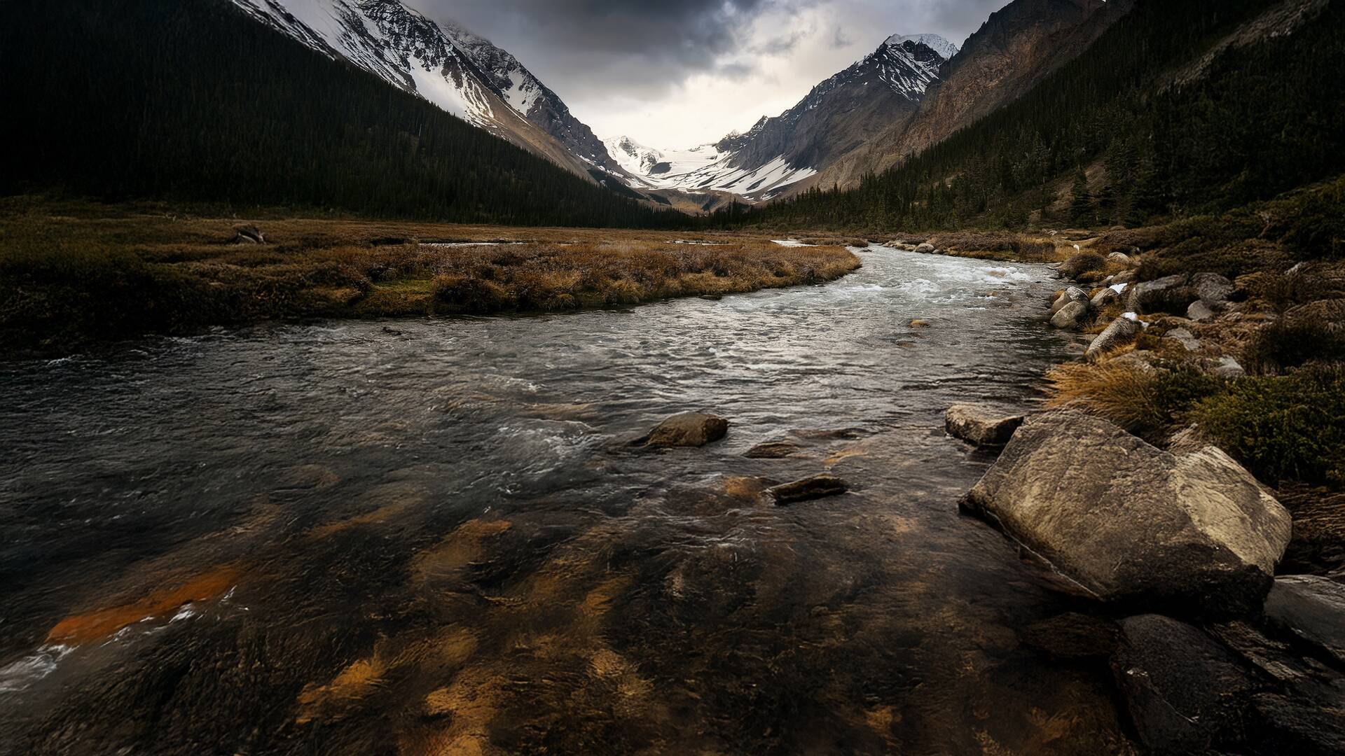 Montañas rocosas, territorio grizzly 1
