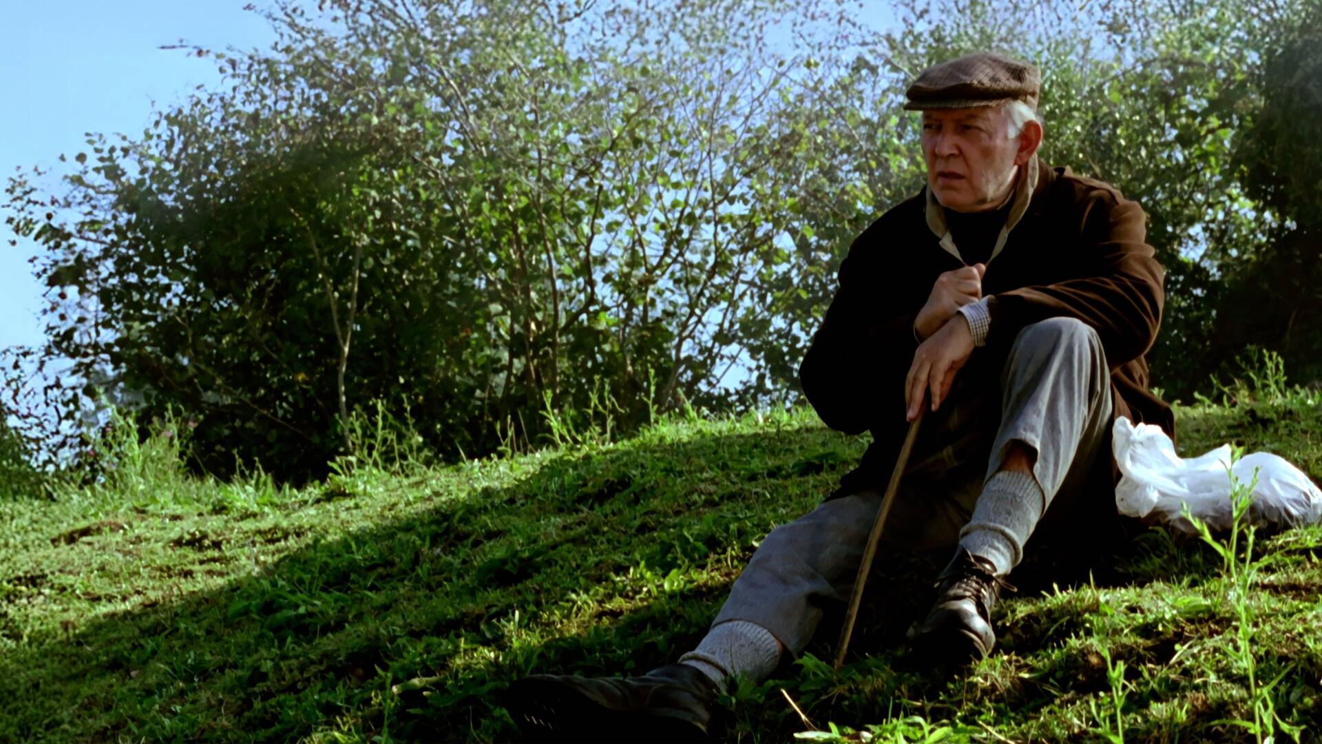 El prado de las estrellas