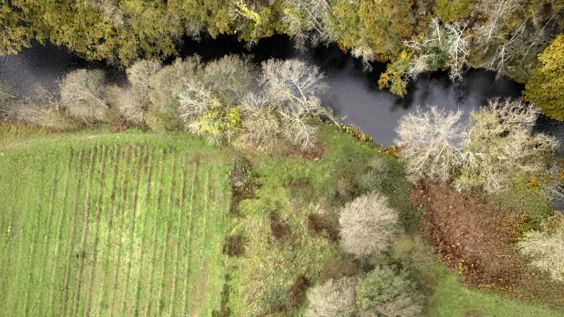 Ribeira de Piquín: el resurgir del Eo