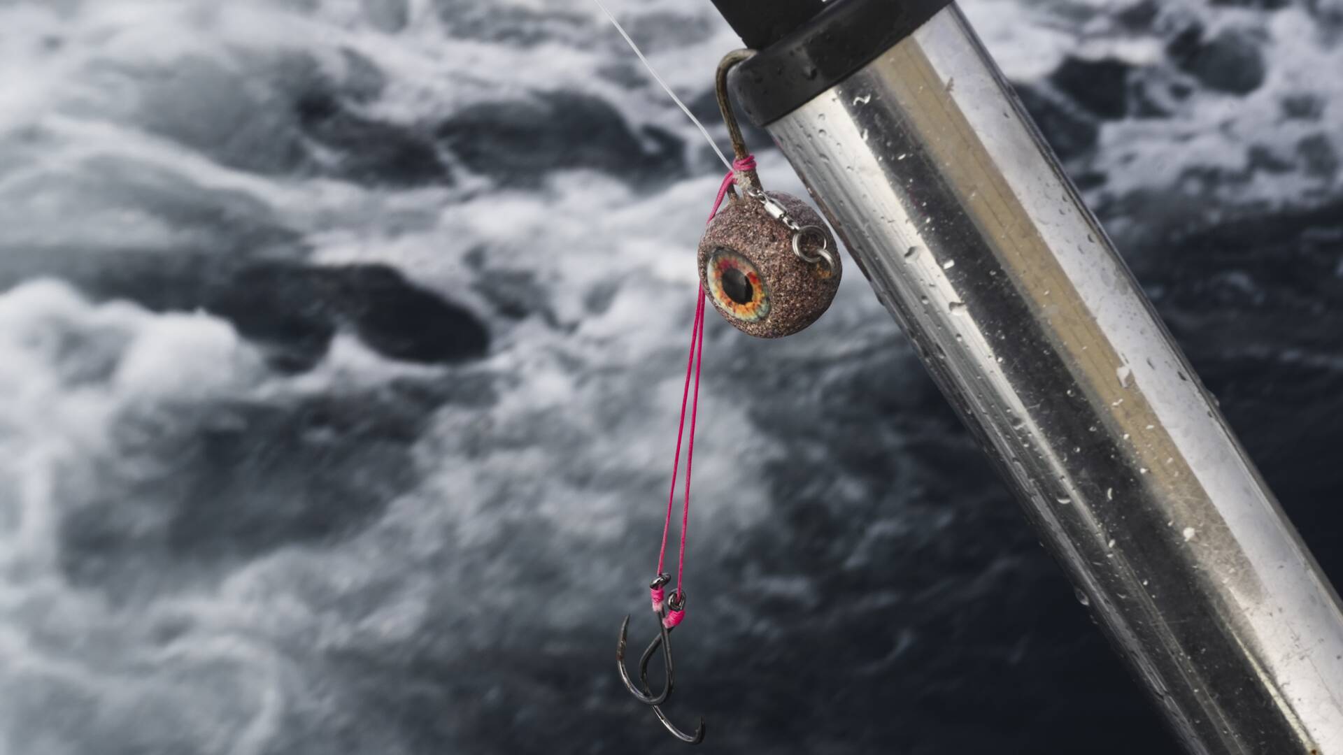 Dentones en Guardamar