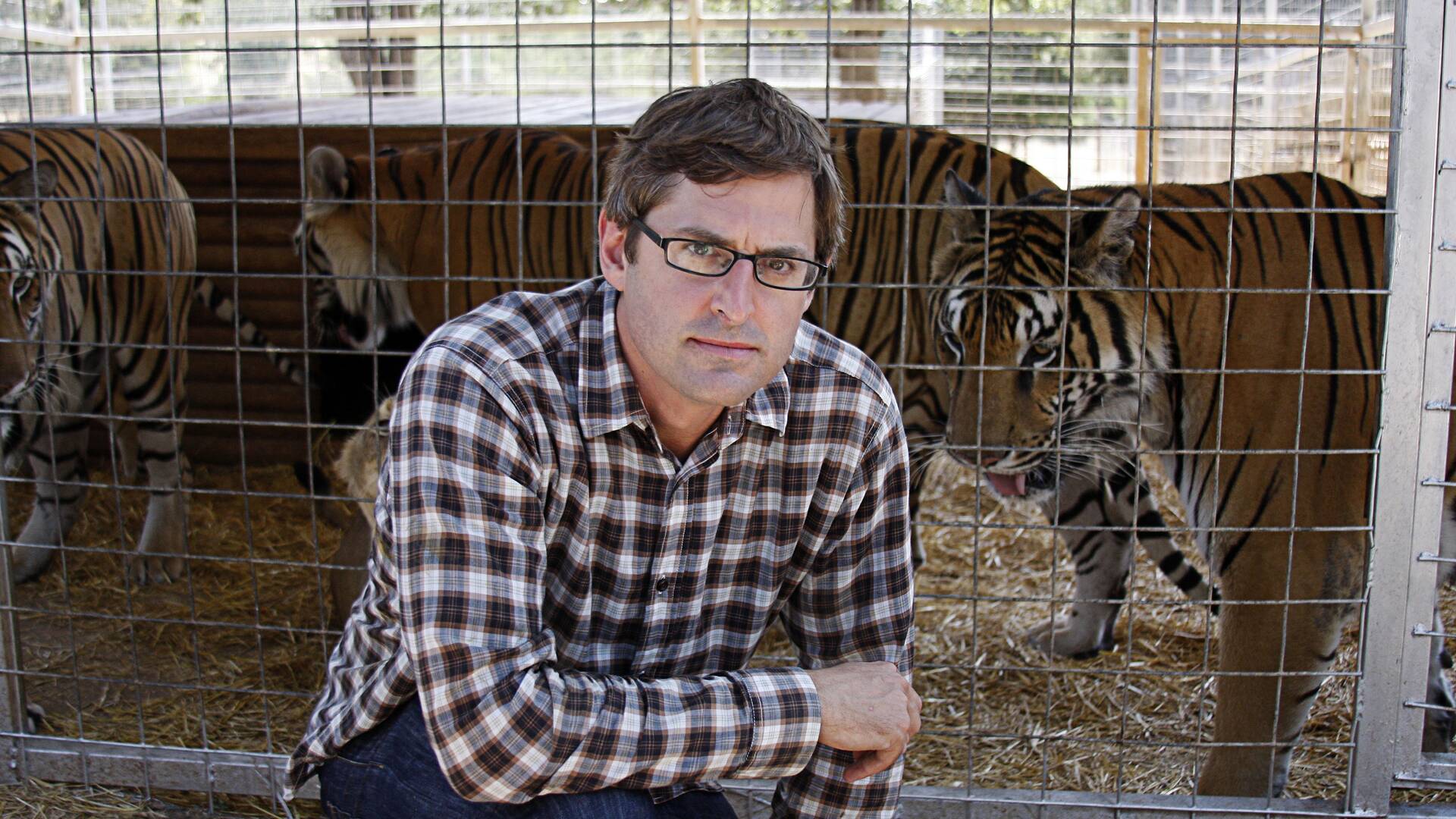 Louis Theroux: cuidado con el tigre