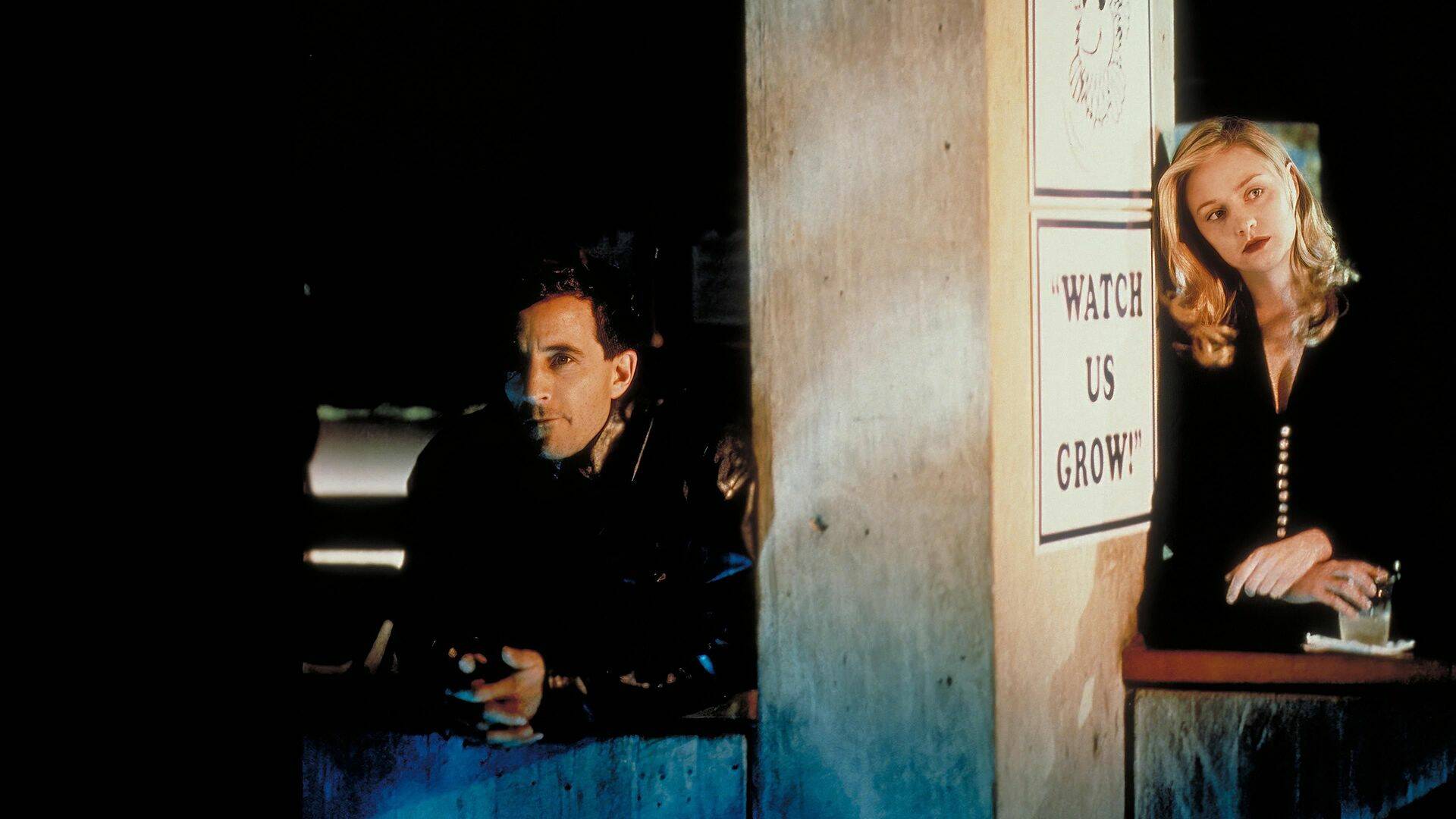 Próxima parada Wonderland