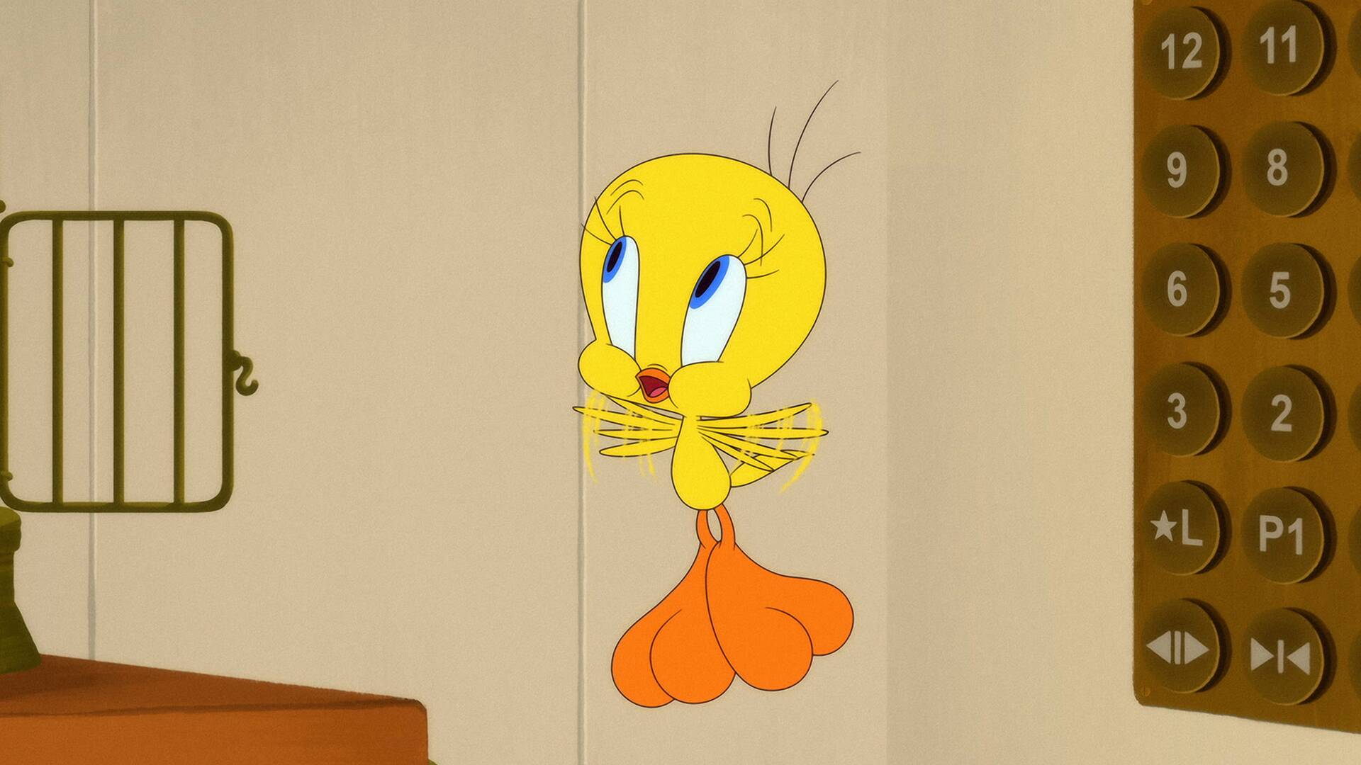 Looney Tunes Cartoons (T6)