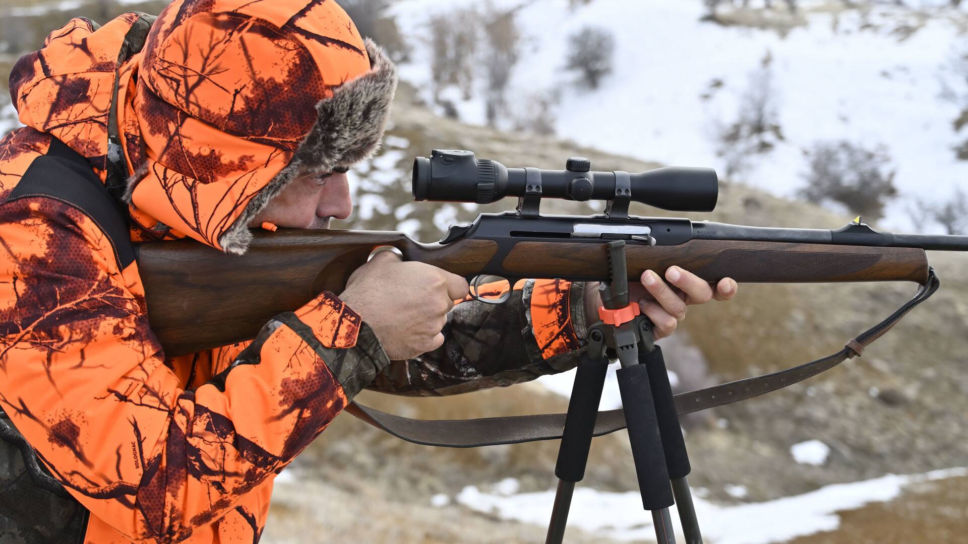 Batidas de grandes jabalies turcos. 1ª parte