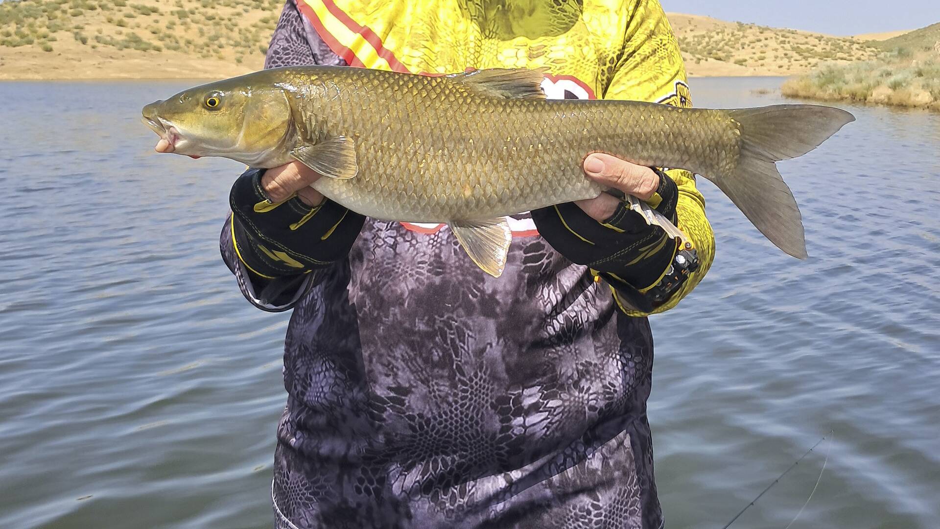 Max Predators Fishing