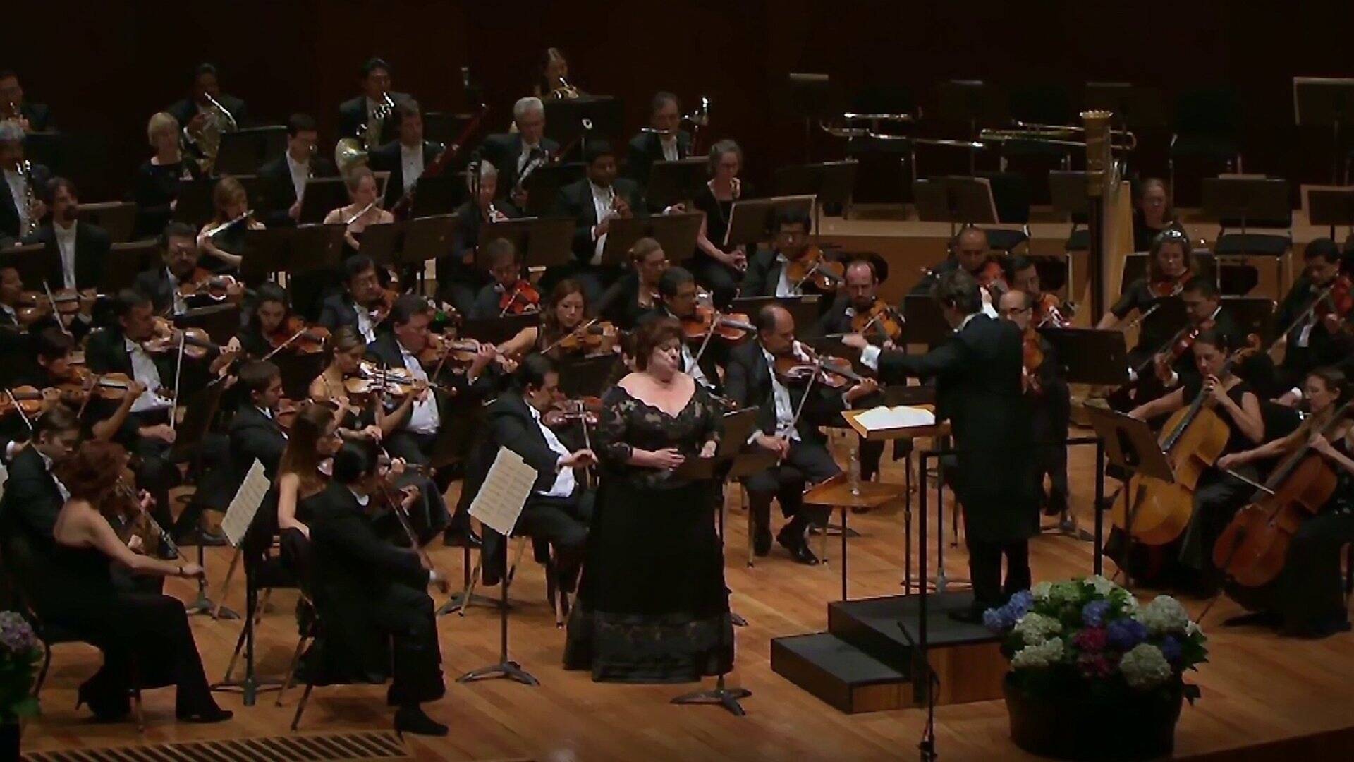 Mahler Song Cycles: Songs on the Death of Children