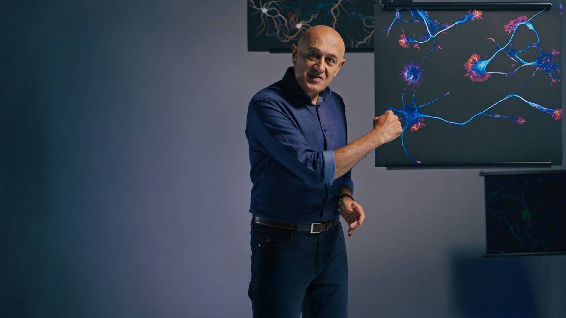 Secretos del cerebro