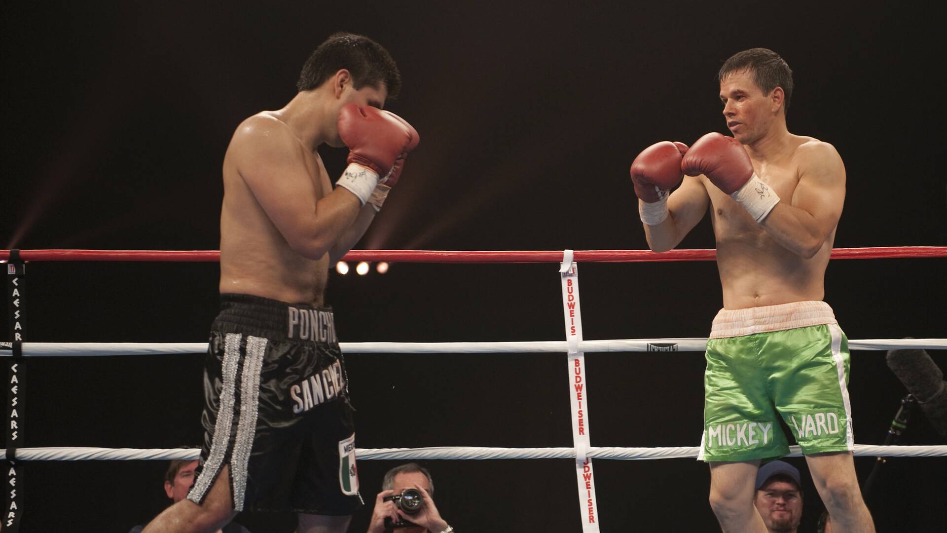 The Fighter