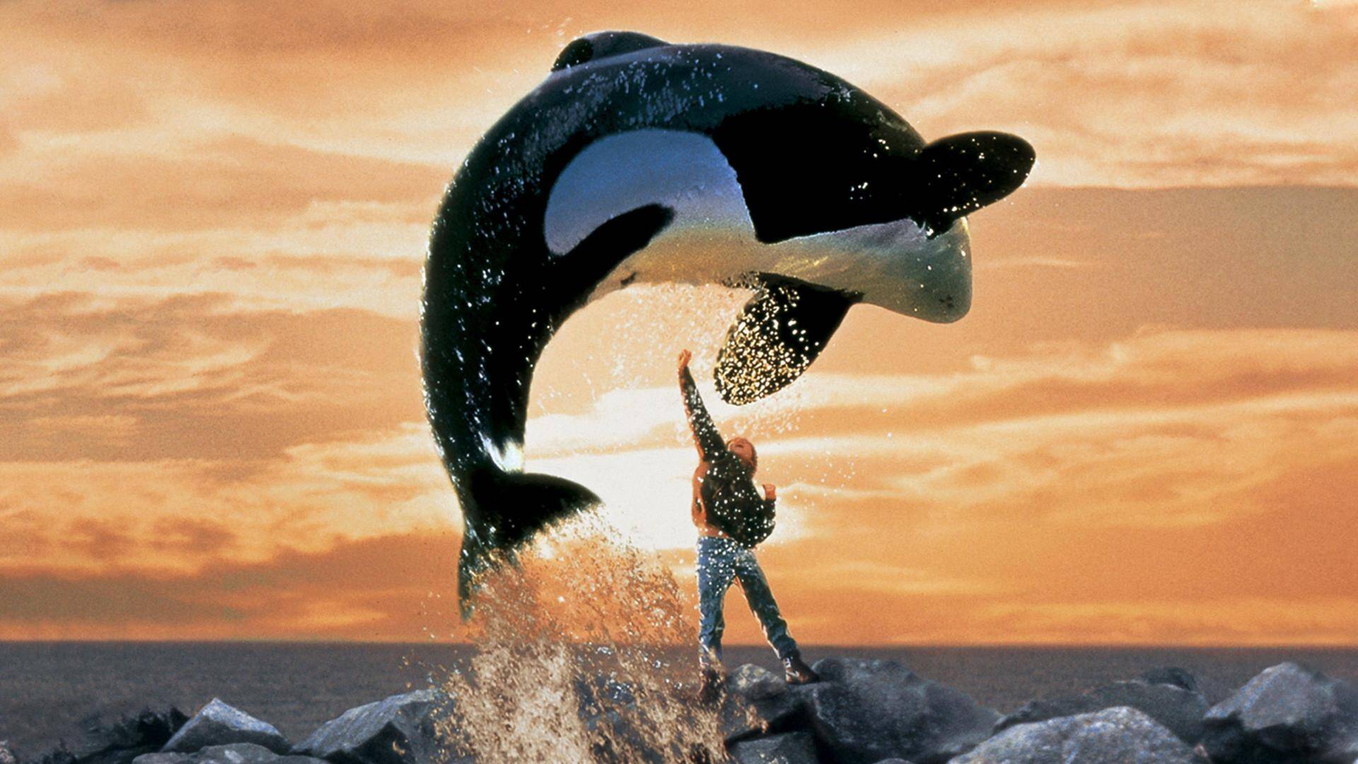 Liberad a Willy